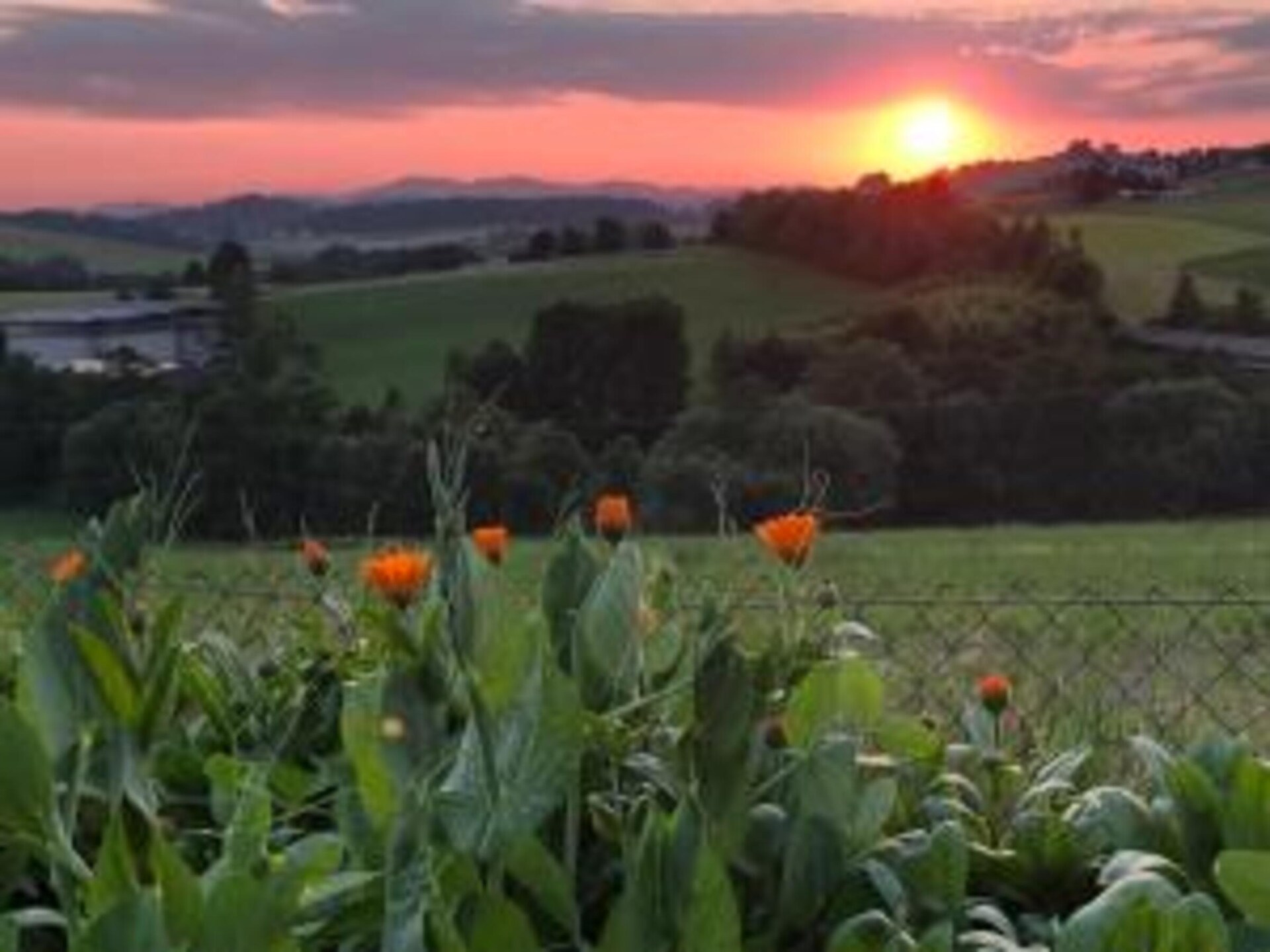 Gezellig houten vakantiehuis voor 5 personen in Waldkirchen - foto 30