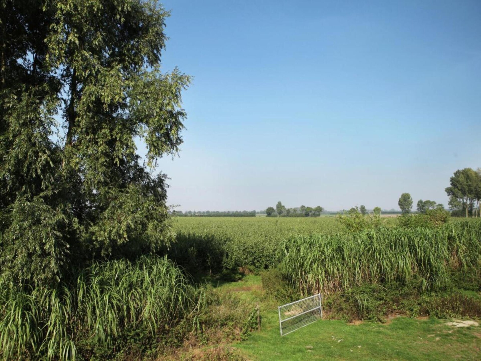 Ruime boerderij 't Groothuus in Eede – 12 personen, hondvriendelijk, omheinde tuin - foto 21