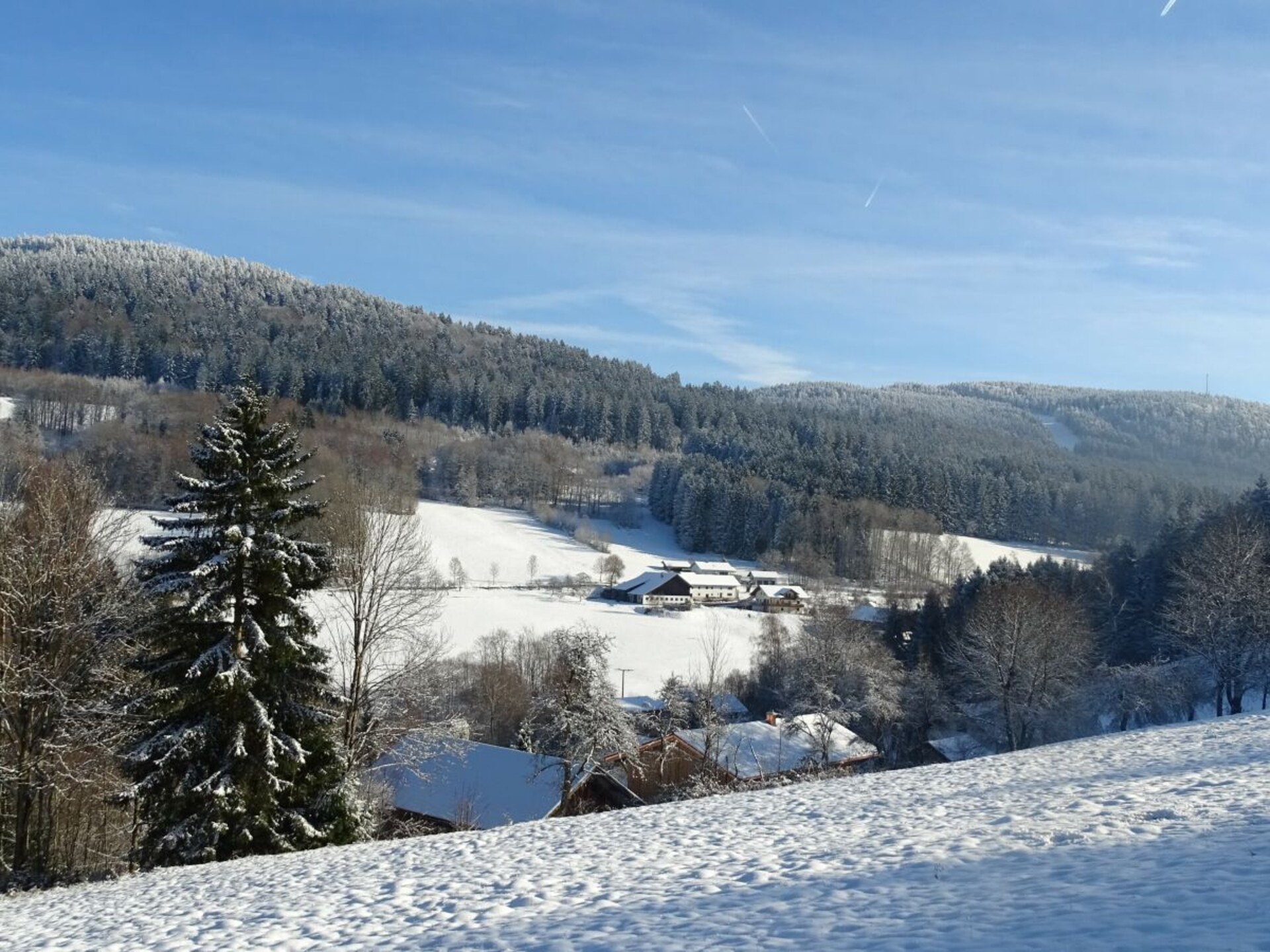 785875 - foto 2