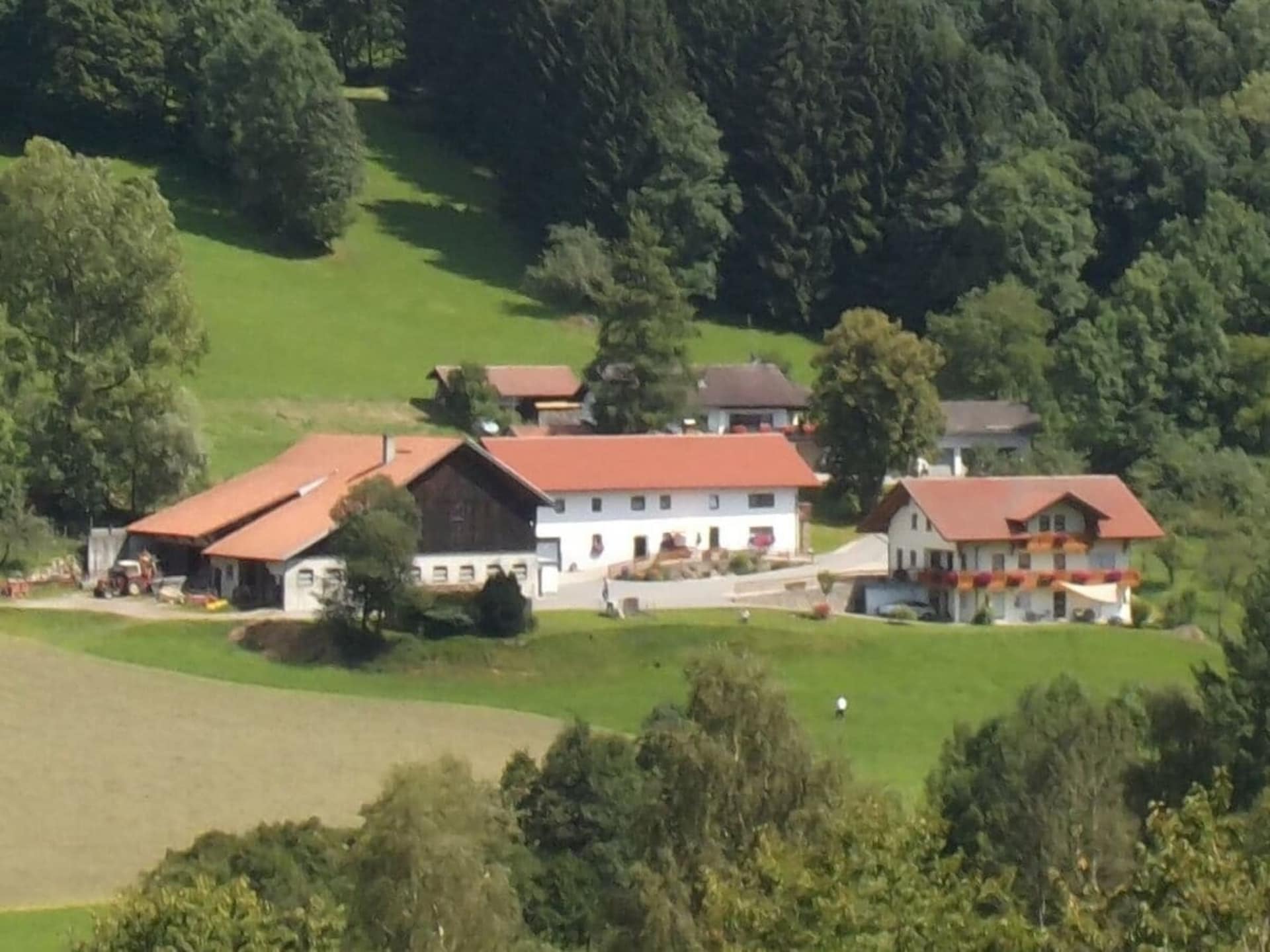 785875 - foto 3