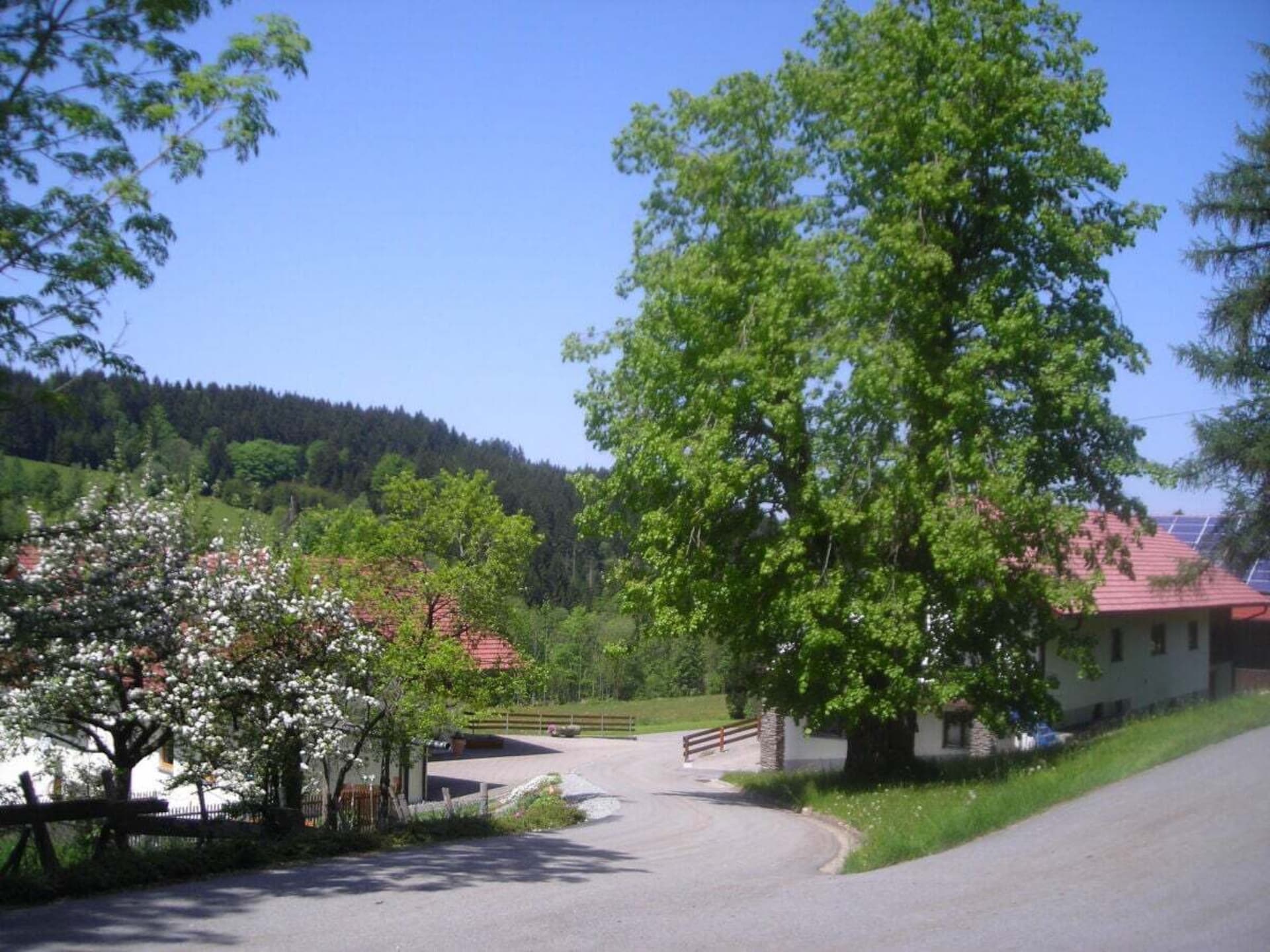 785875 - foto 13