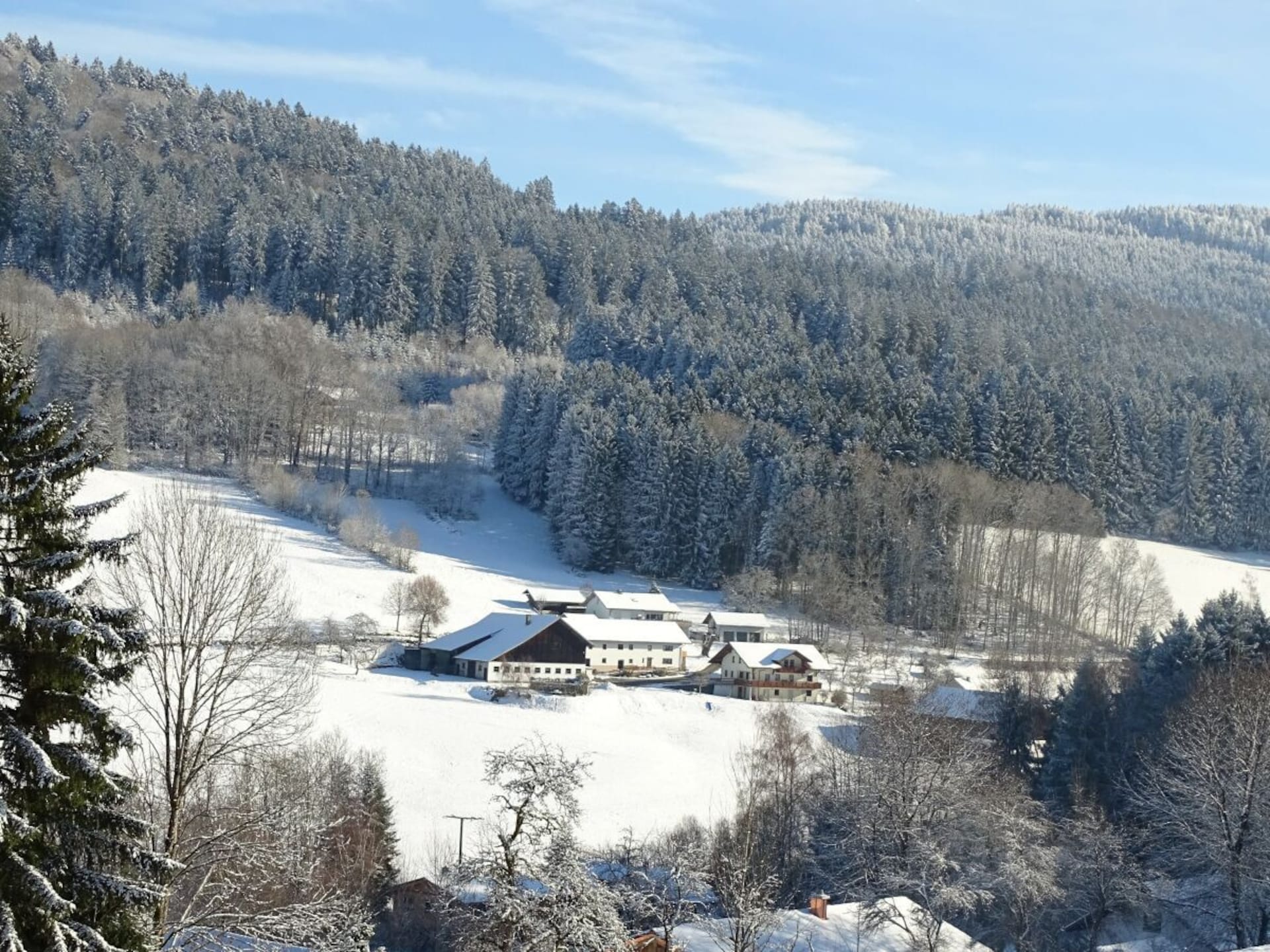 785875 - foto 14