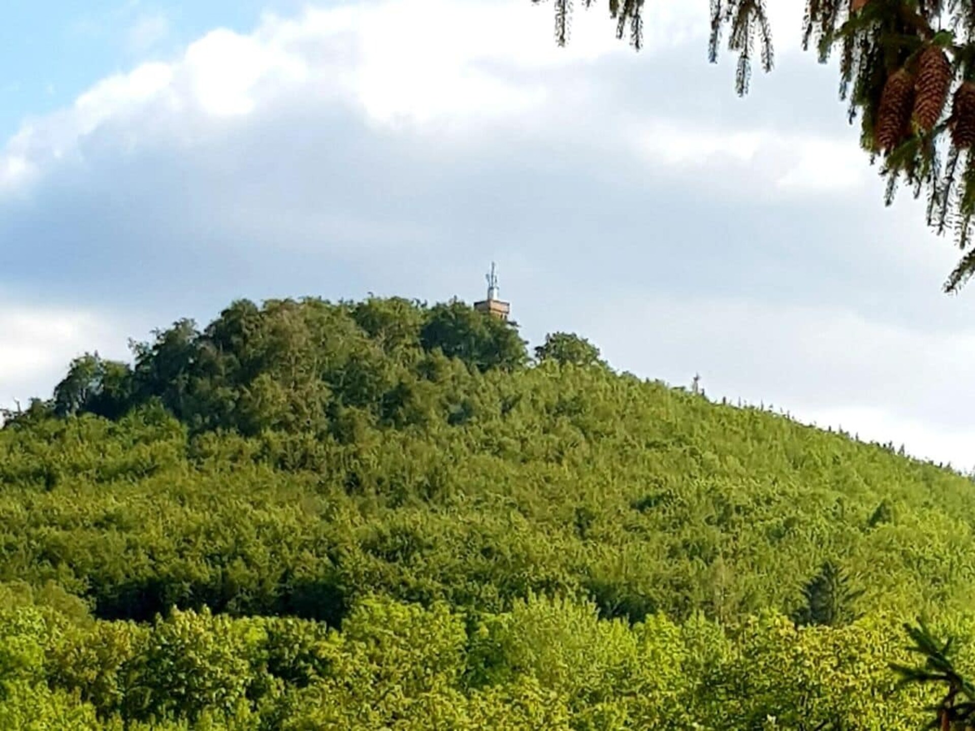 291783 - foto 6
