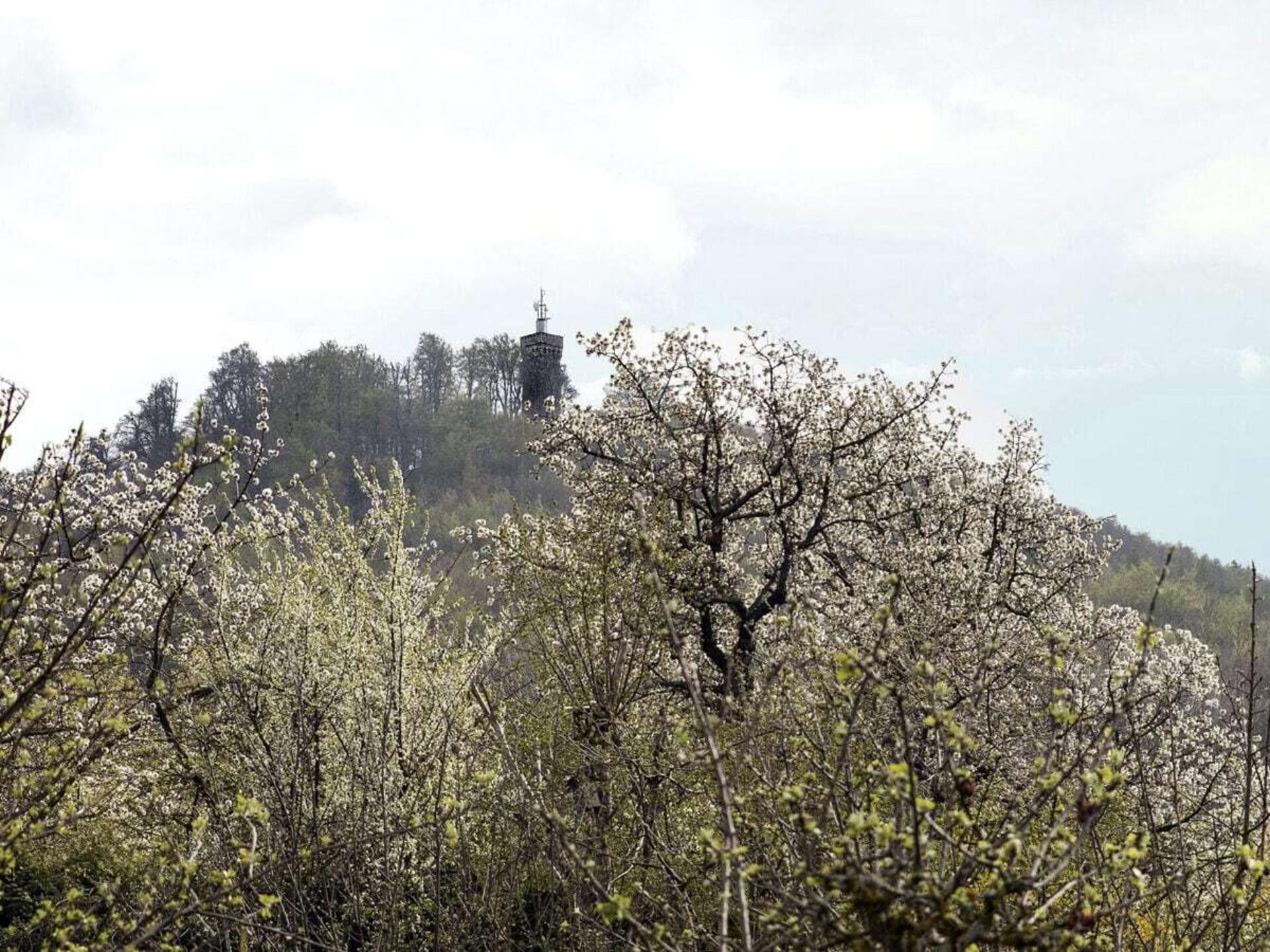 291783 - foto 29