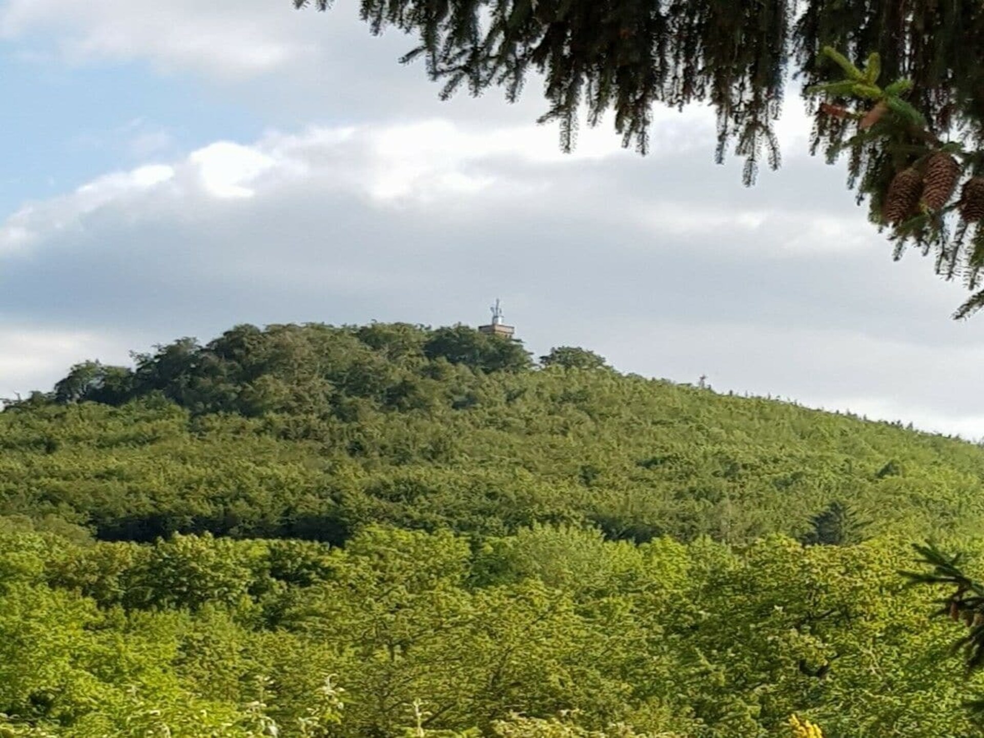 291783 - foto 35