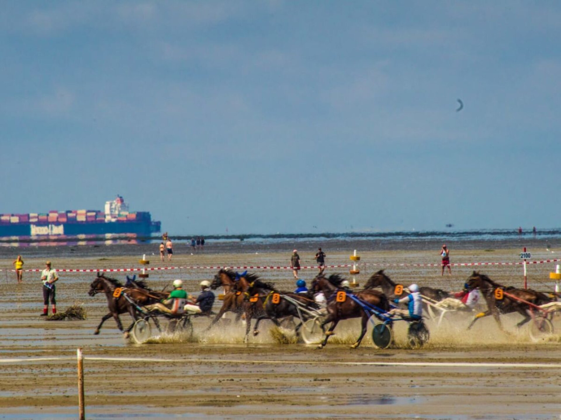 259688 - foto 22