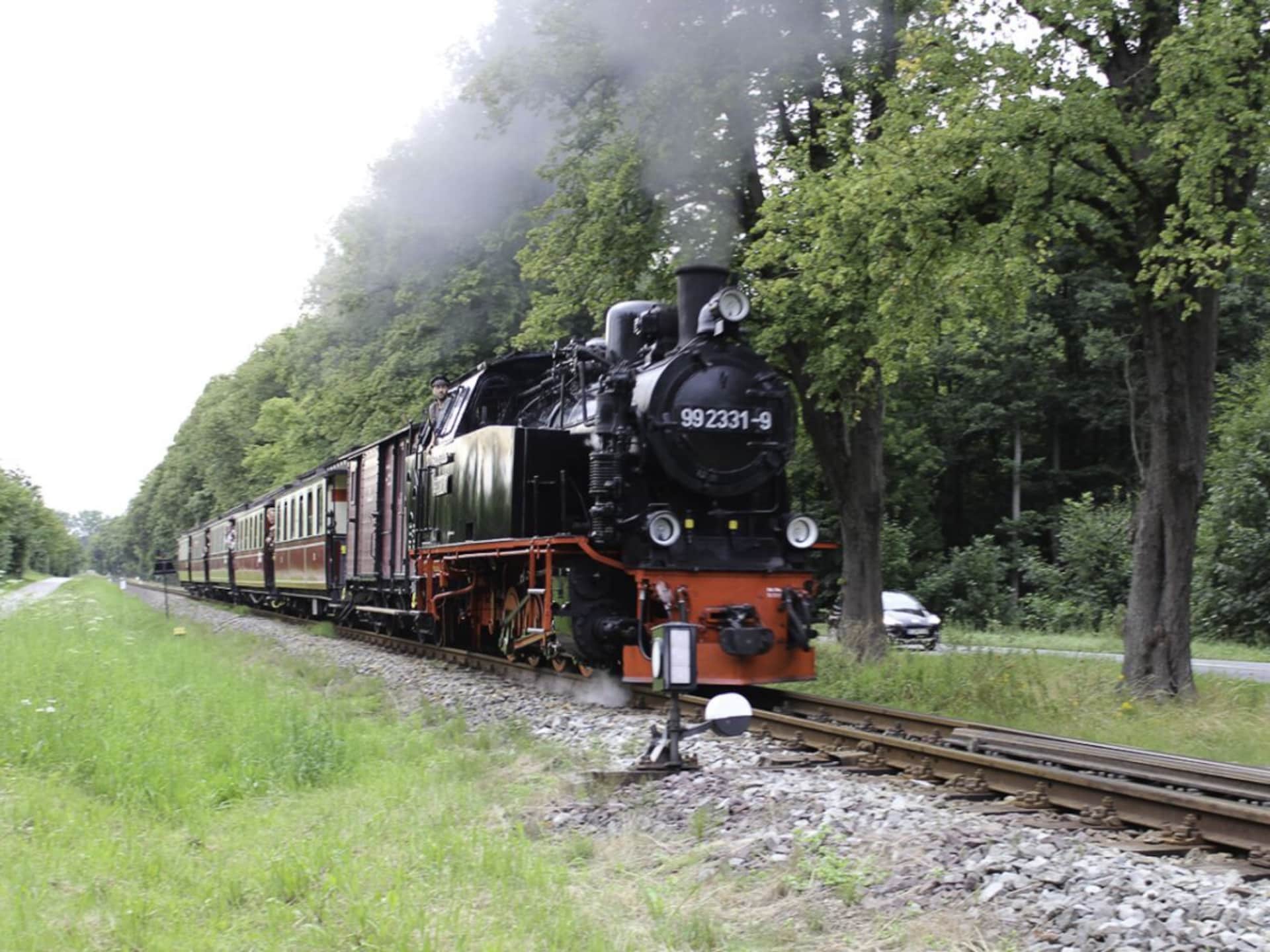 488803 - foto 4