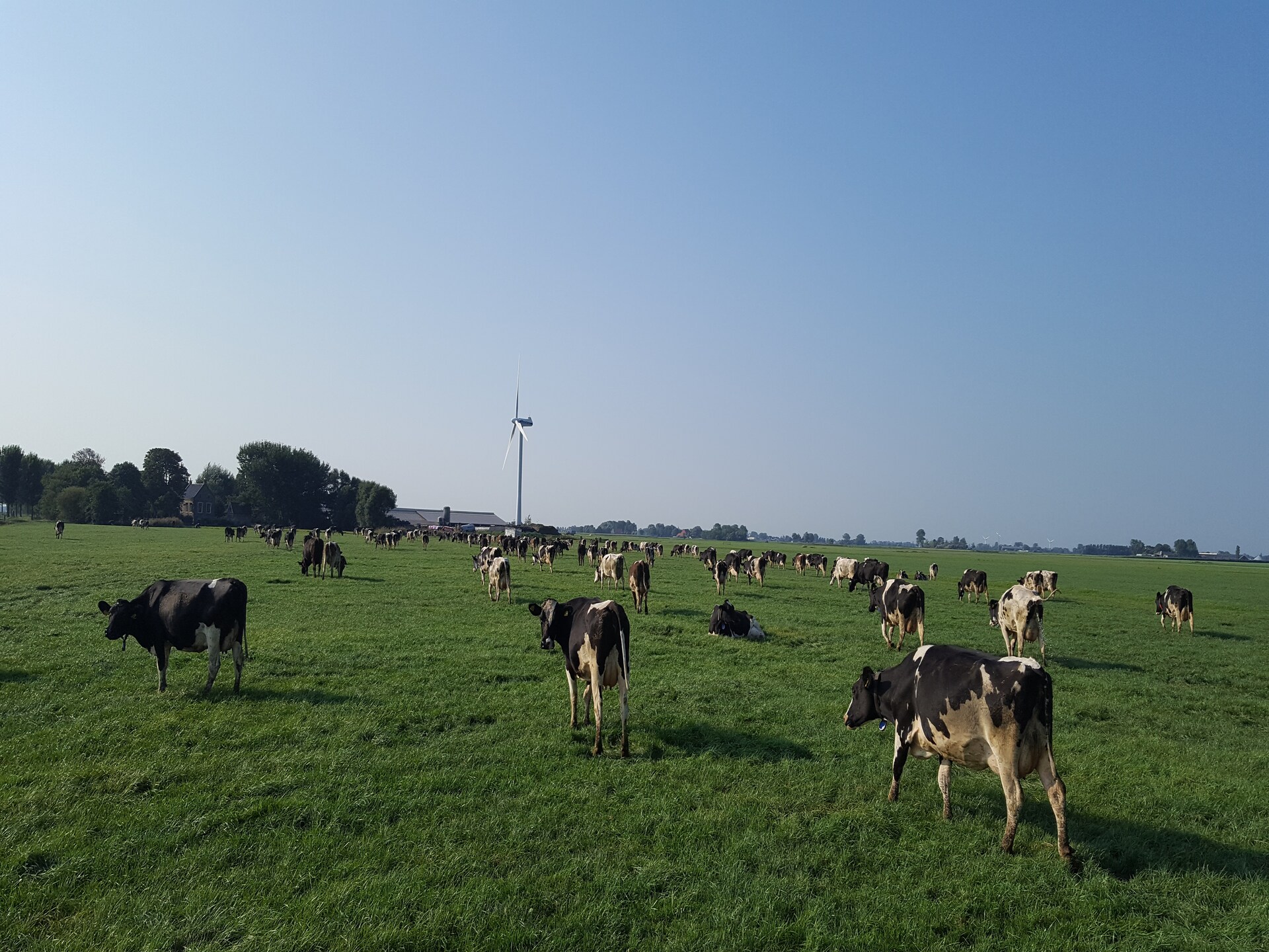 Pronkkeamer Skrins: authentiek vakantiehuis in het Friese boerenland - foto 21