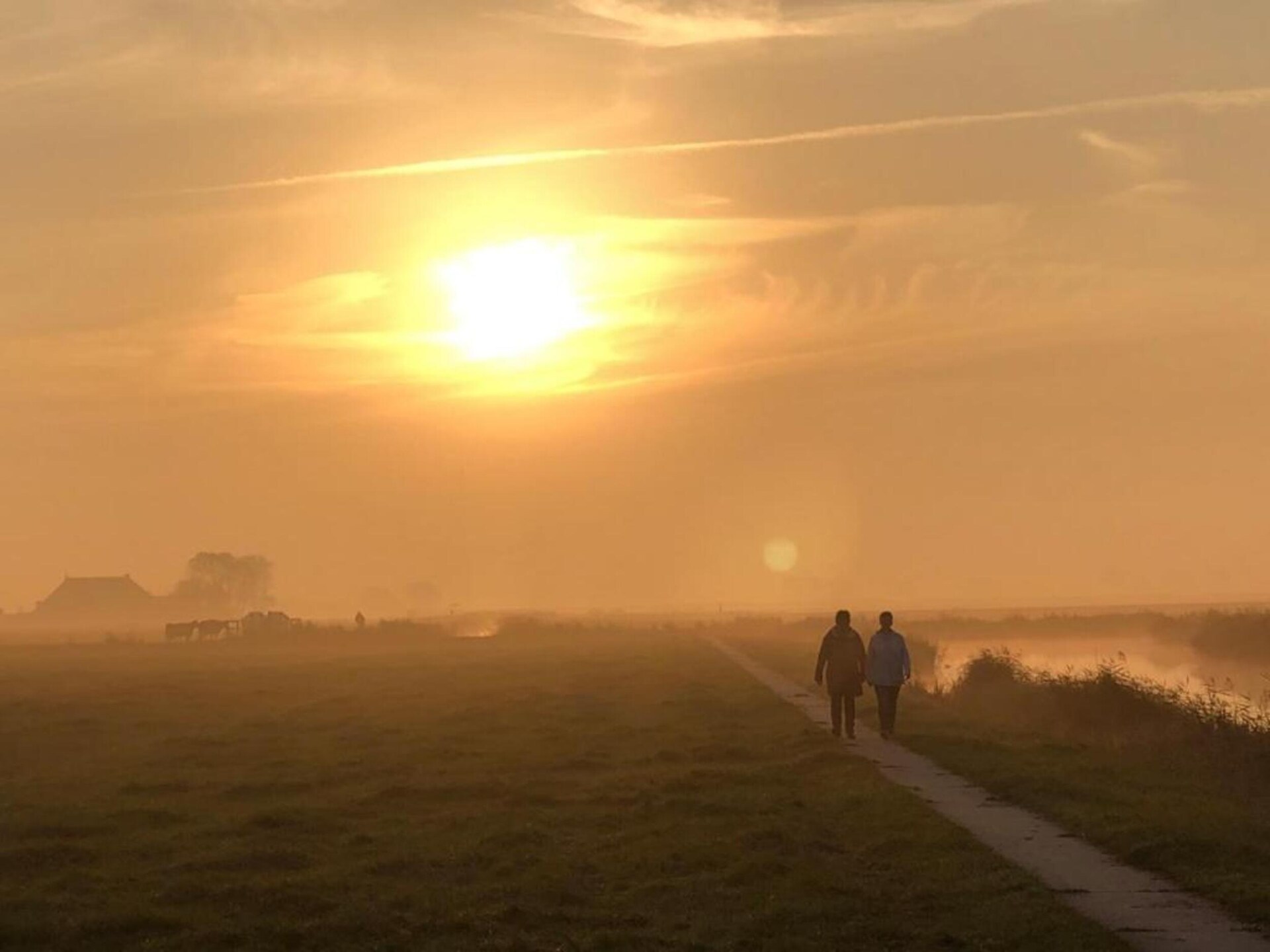 Pronkkeamer Skrins: authentiek vakantiehuis in het Friese boerenland - foto 32