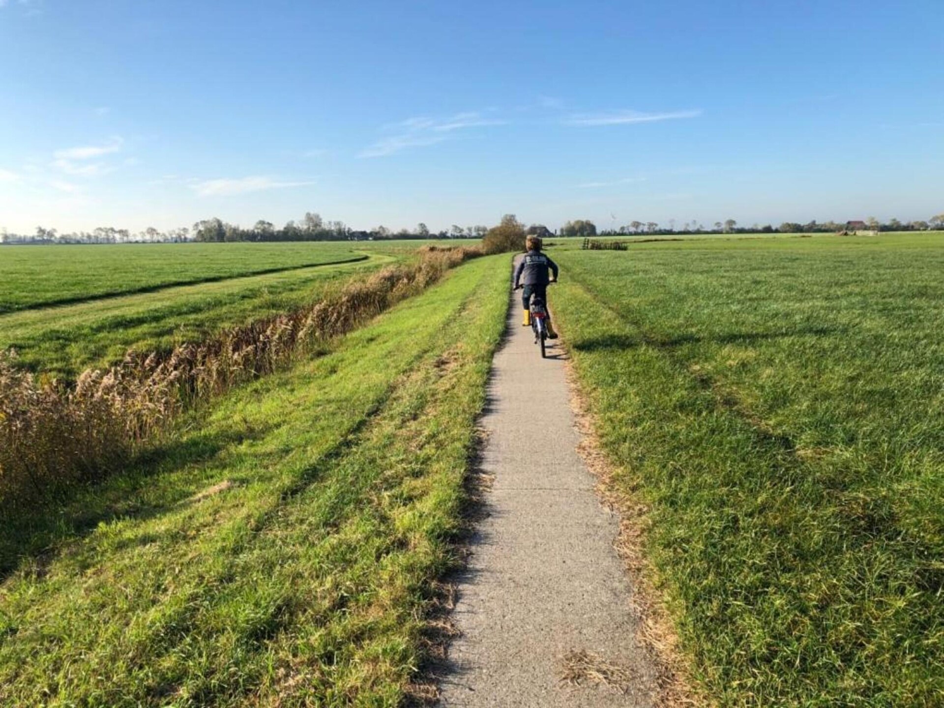 Pronkkeamer Skrins: authentiek vakantiehuis in het Friese boerenland - foto 29