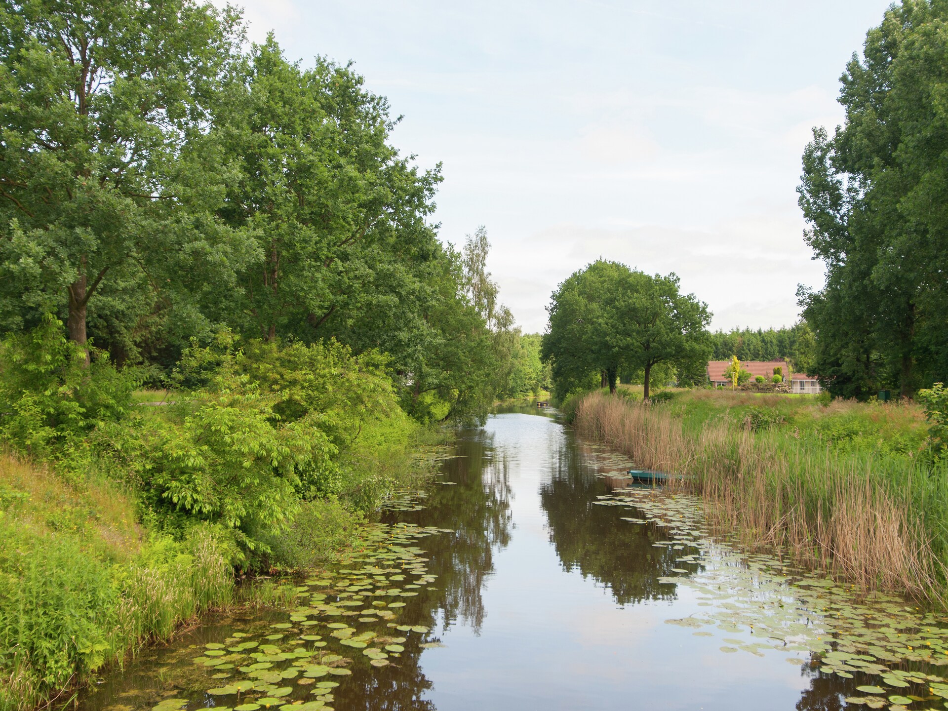 Ruime boerderij in Waskemeer: rust, natuur en ruimte voor 15 personen - foto 26