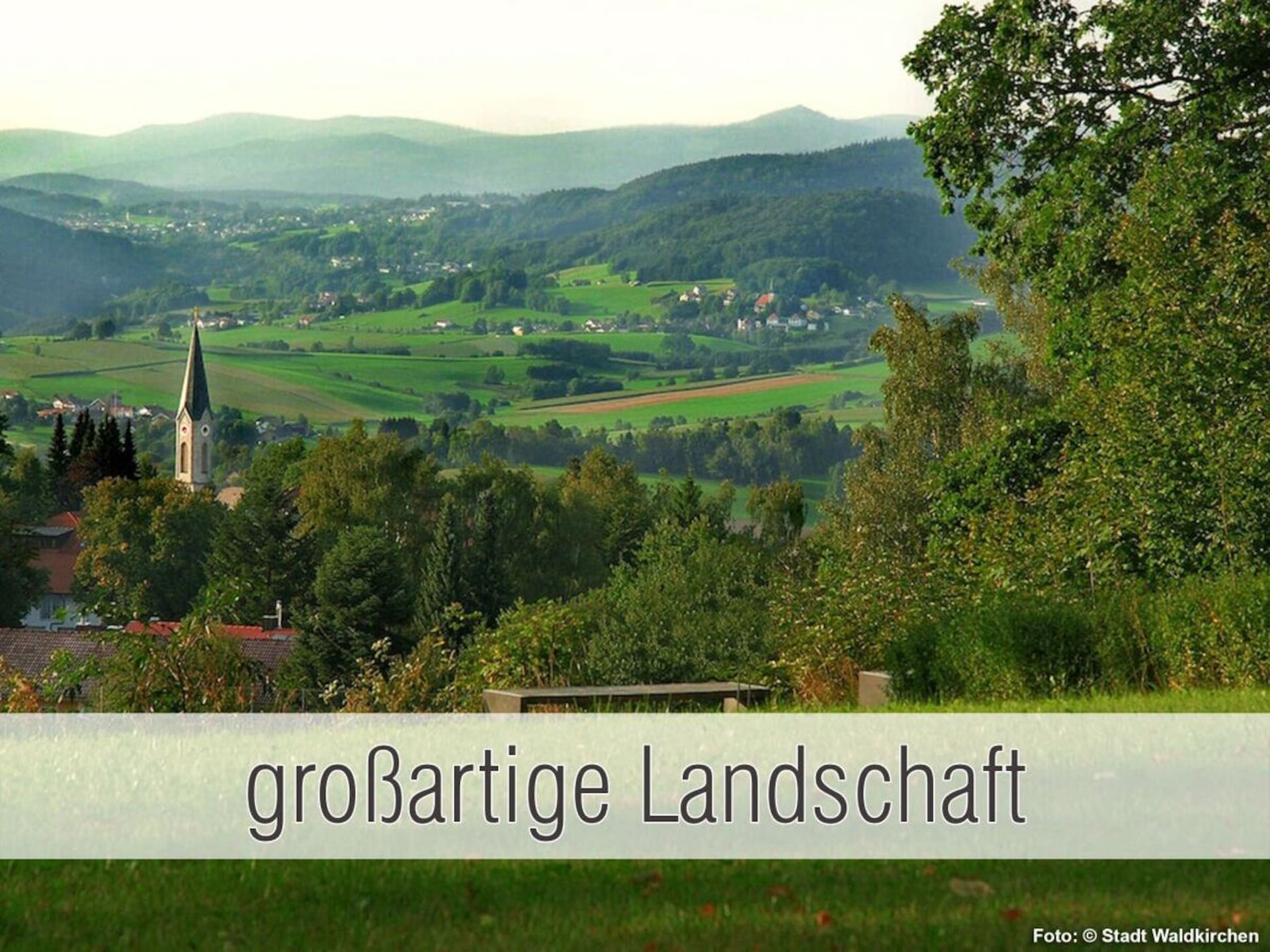 301727 - foto 25