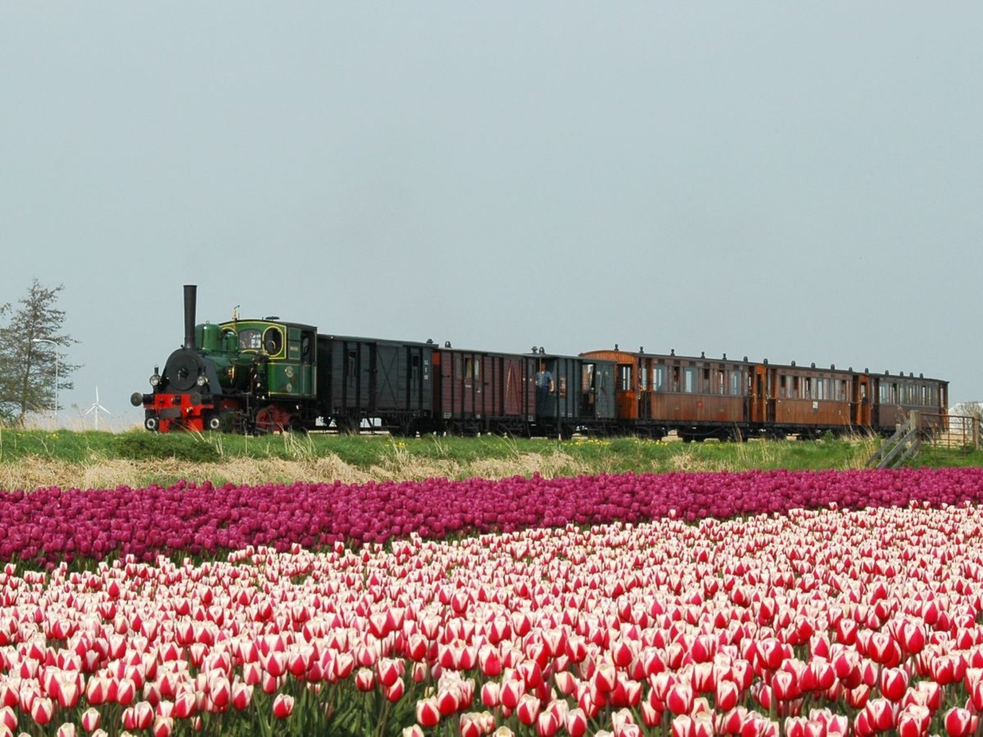 78606 - foto 15