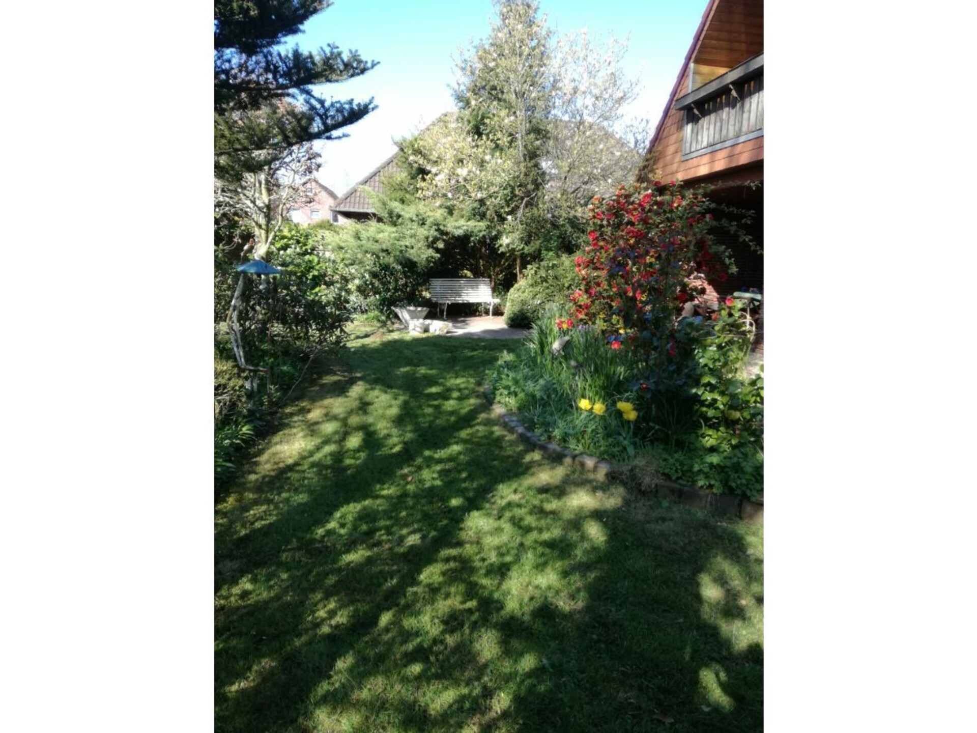 231489 - foto 3