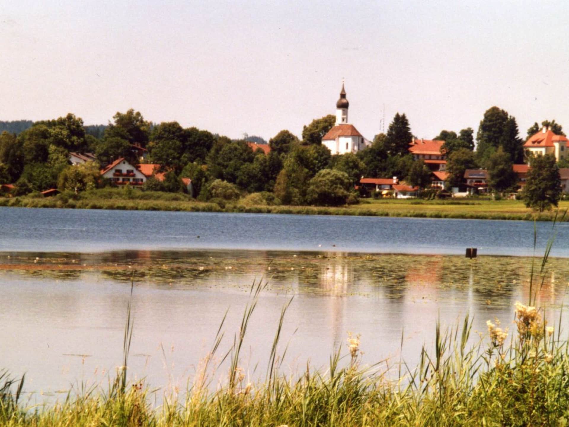 51714 - foto 12