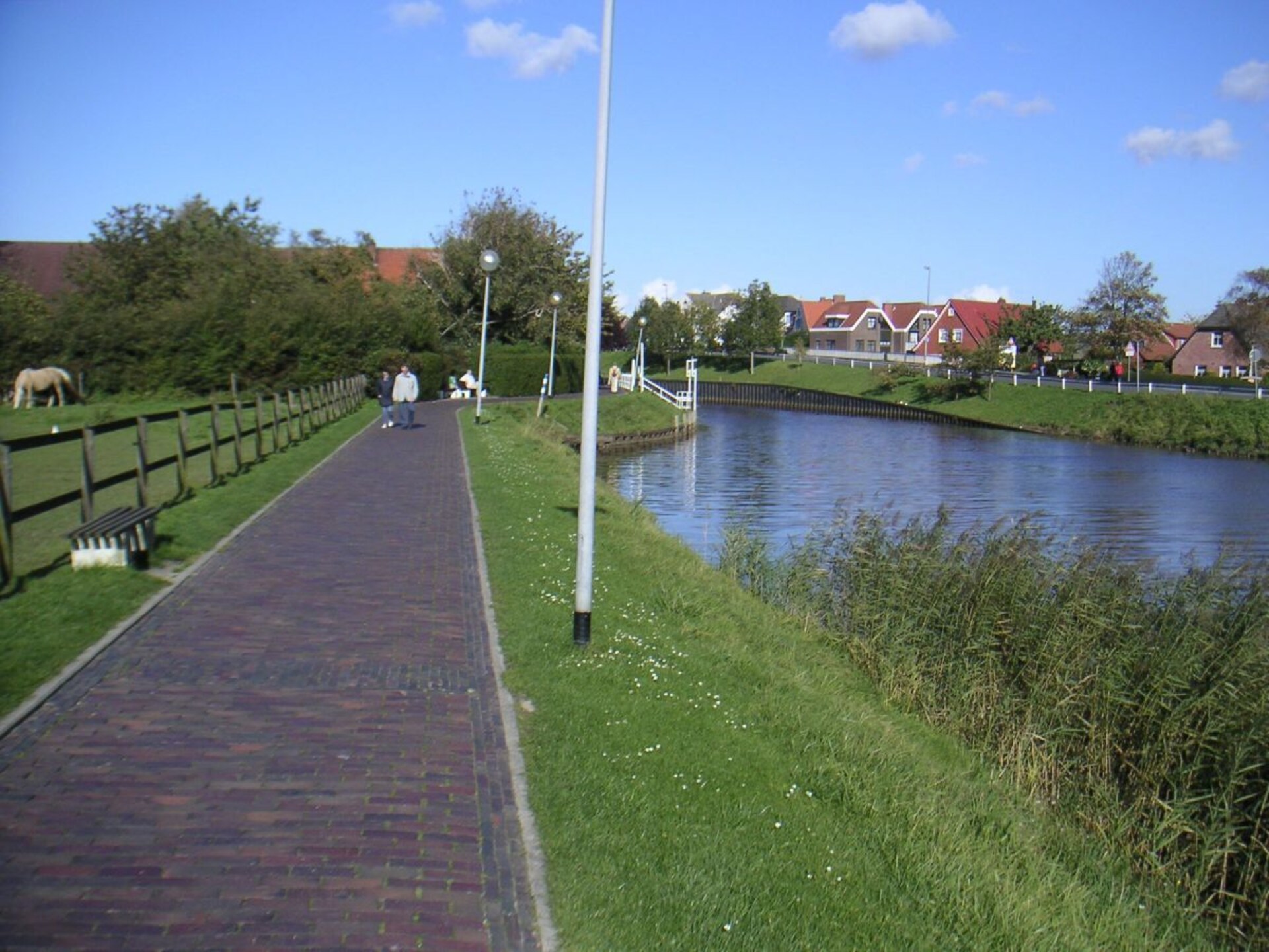 41666 - foto 14