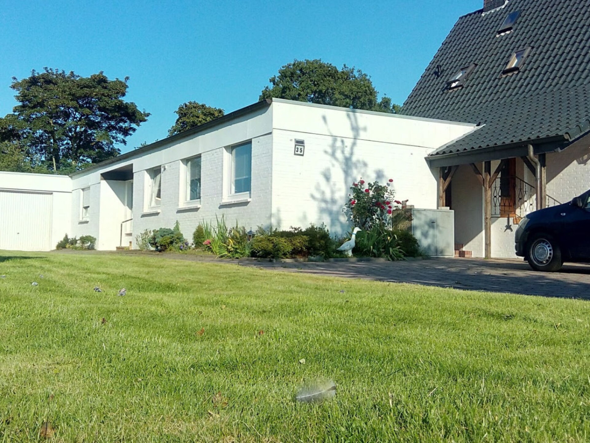 116090 - foto 1