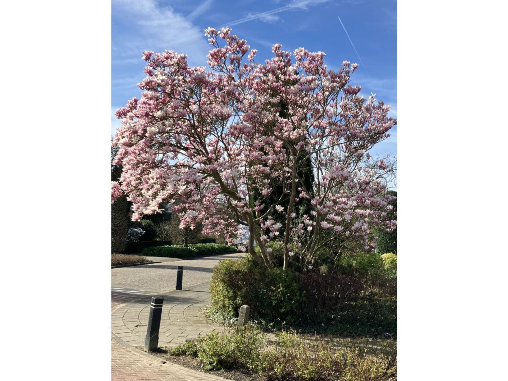 489145 - foto 37