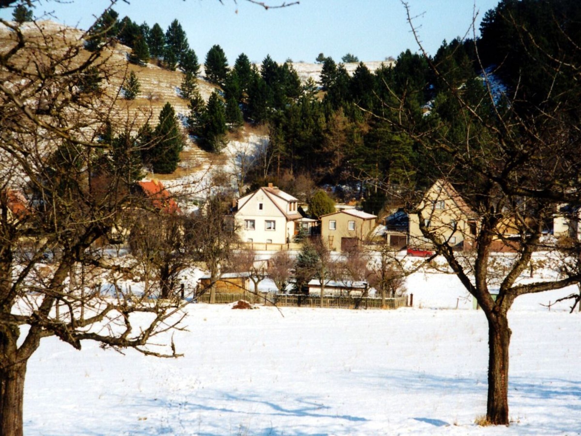 8572 - foto 11