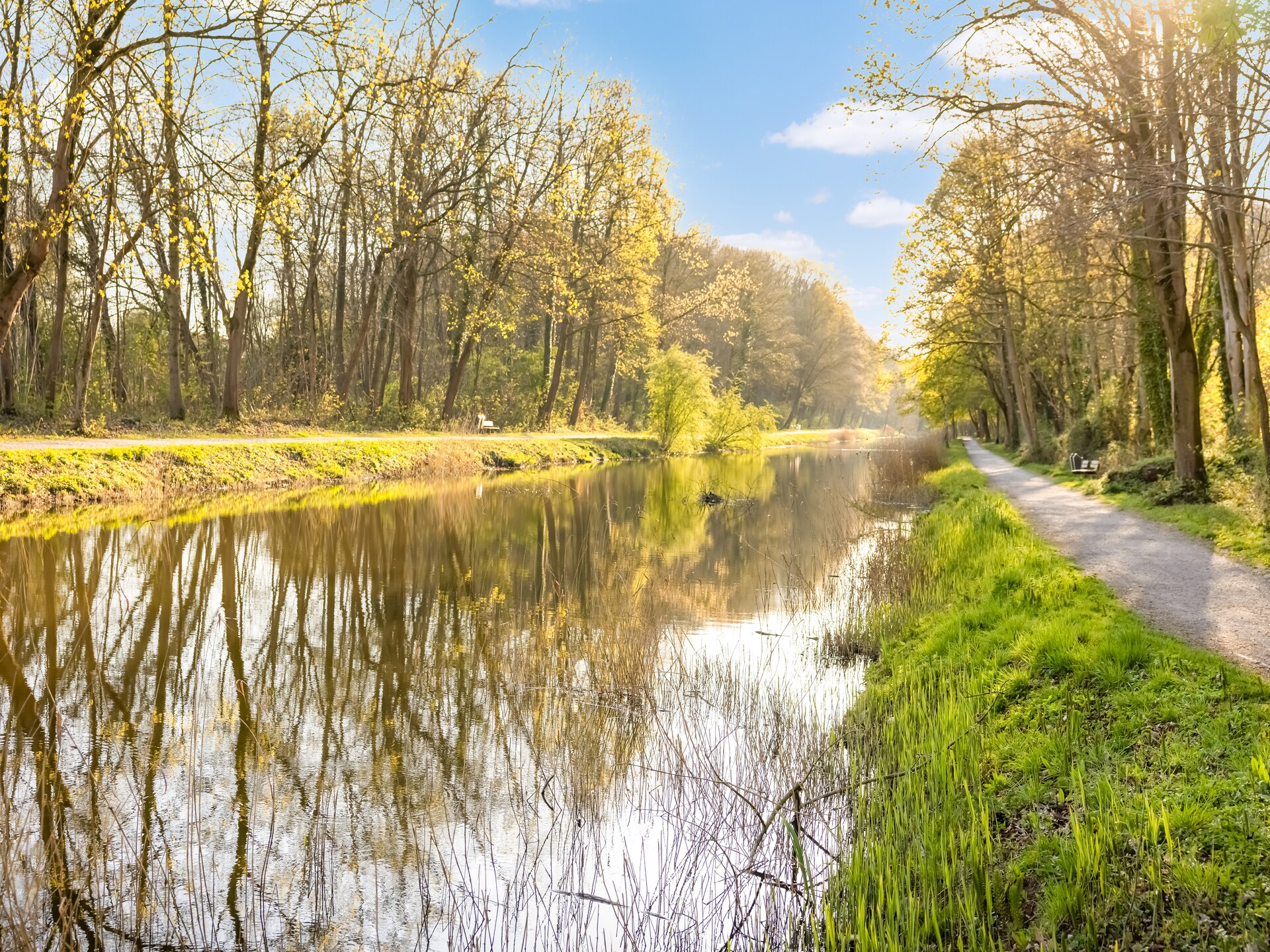 't Bloemenhof: charmant 3-persoons vakantiehuis in Hollebeke - foto 34