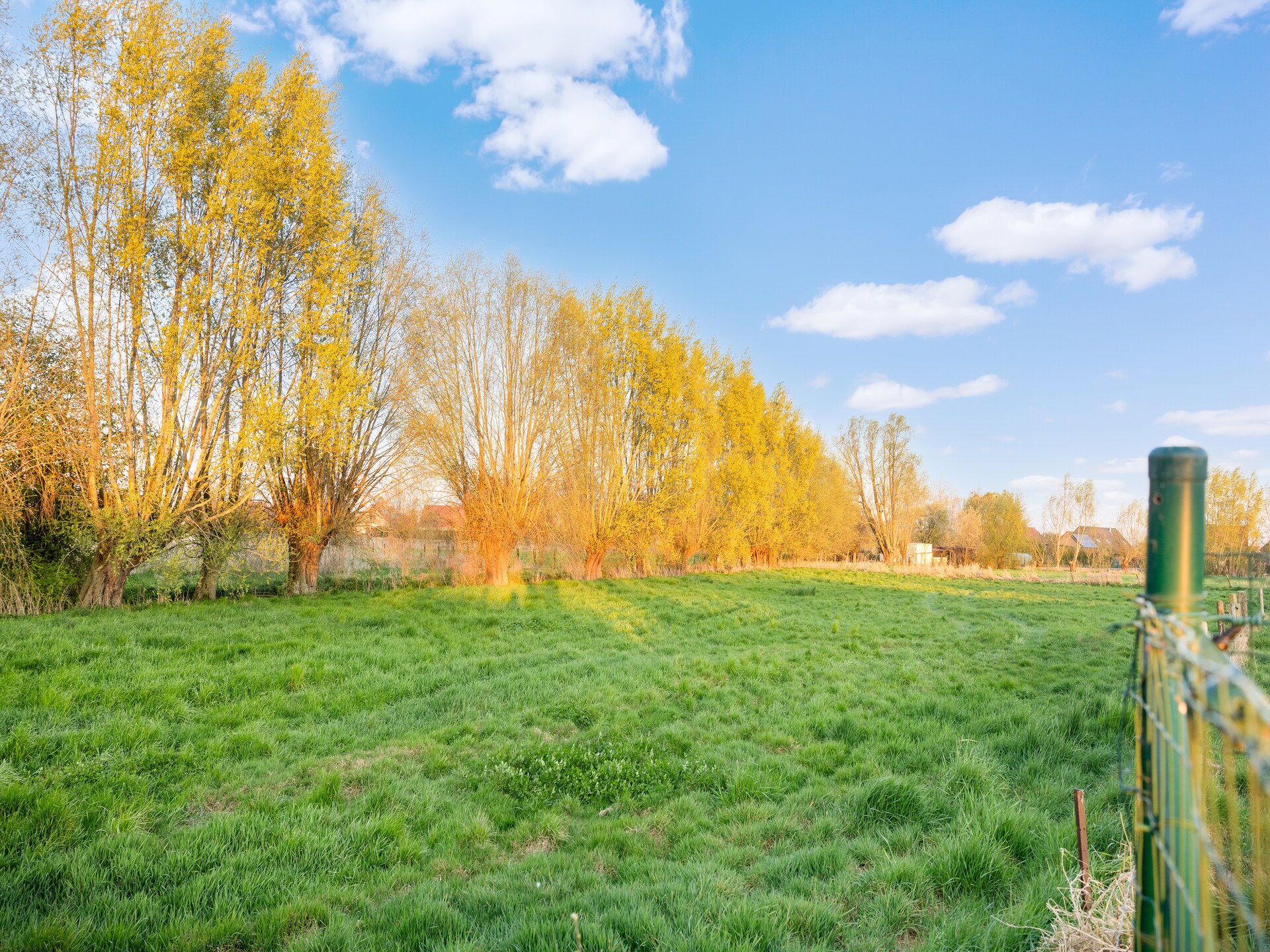't Bloemenhof: charmant 3-persoons vakantiehuis in Hollebeke - foto 33
