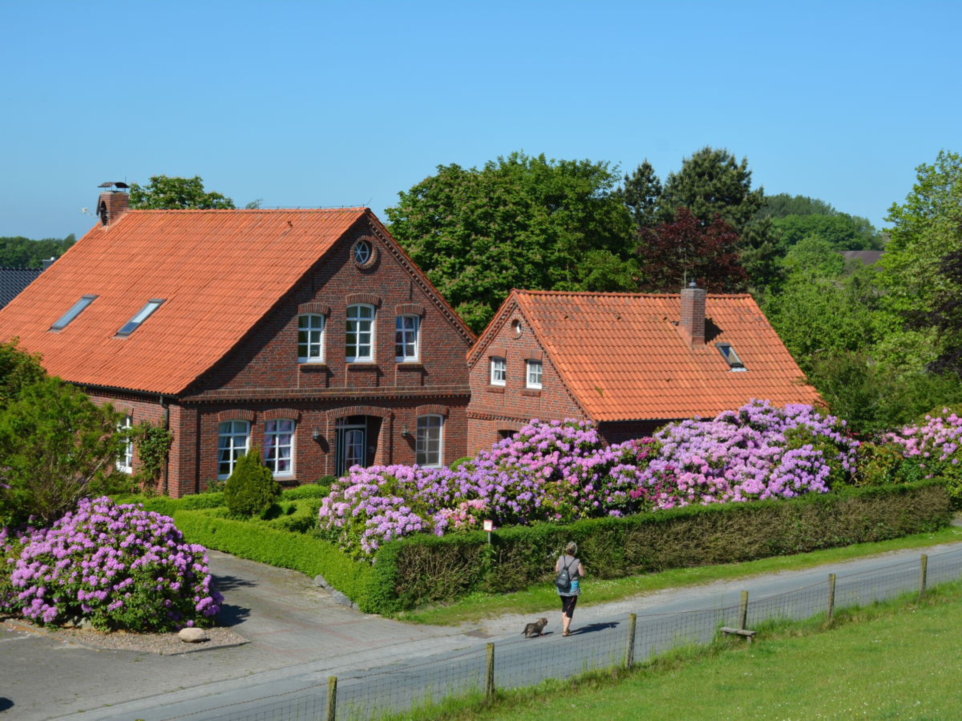 192843 - foto 3