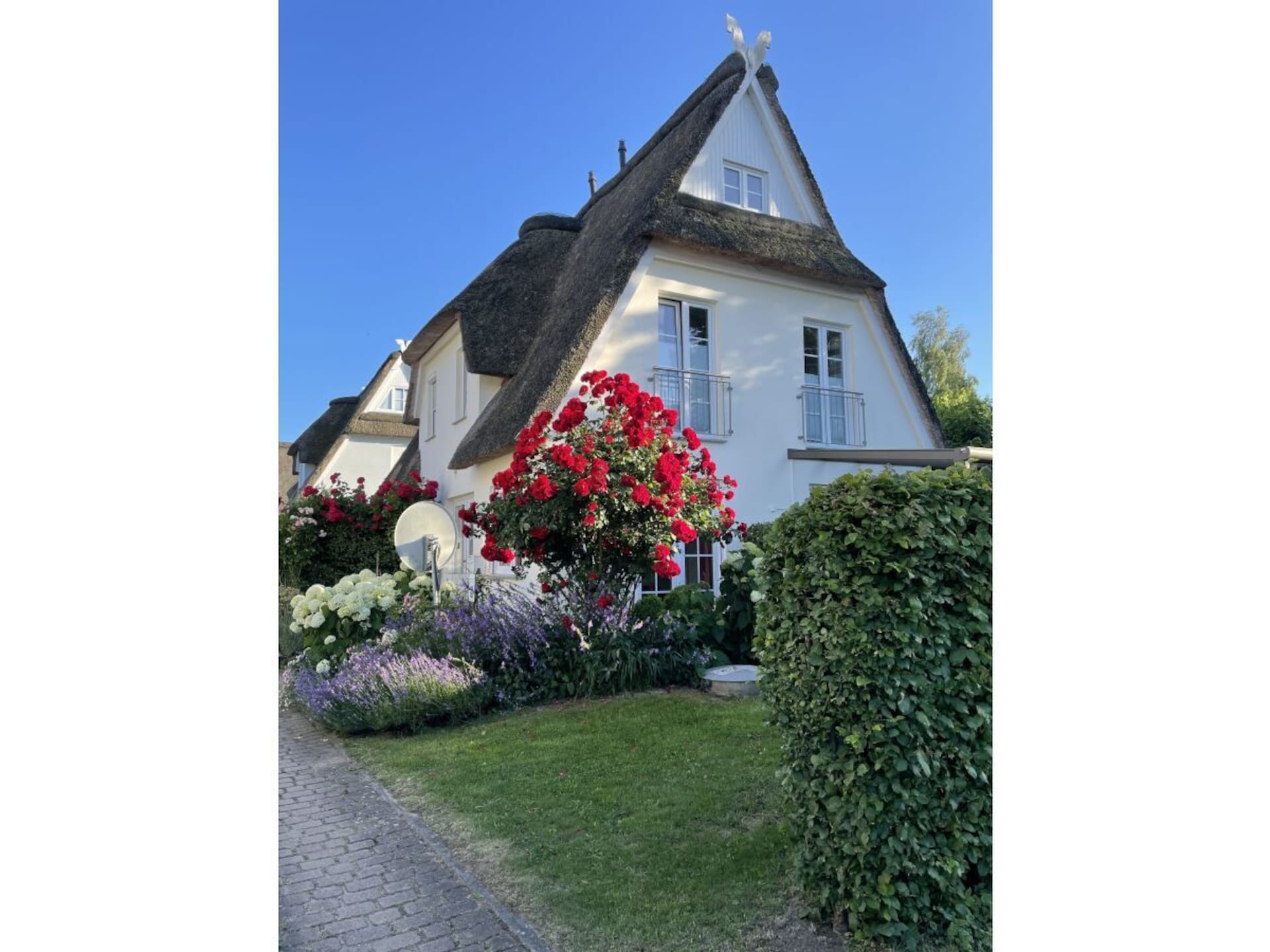 445748 - foto 2