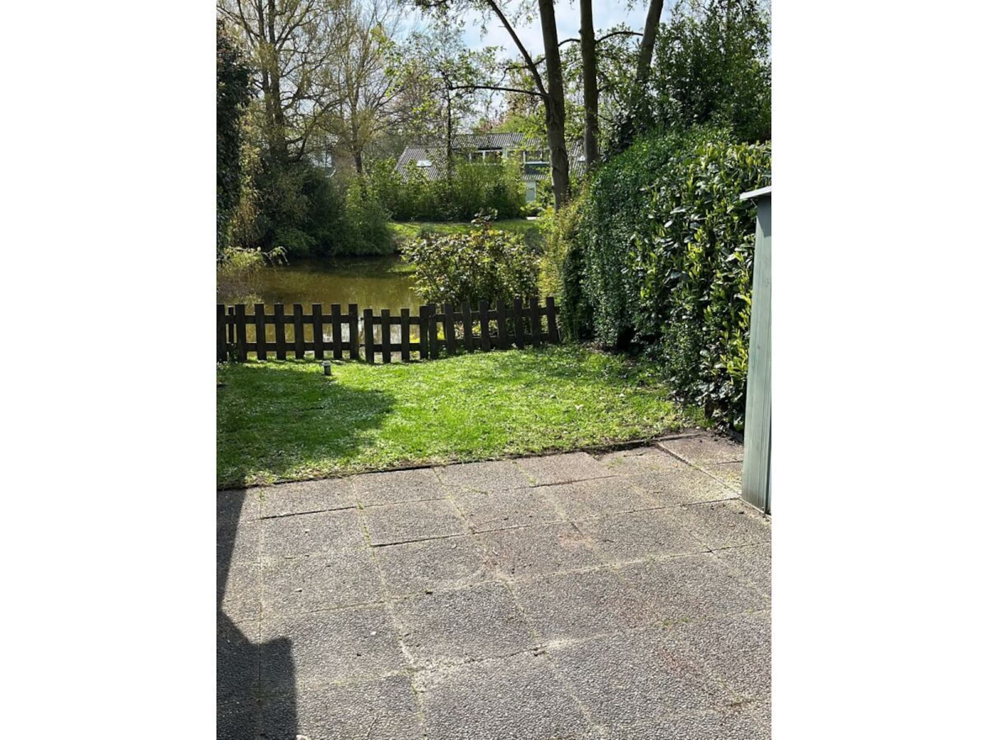 1339 - foto 5