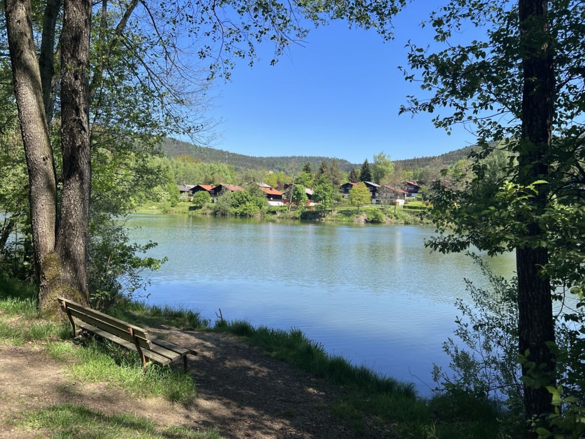 56753 - foto 29
