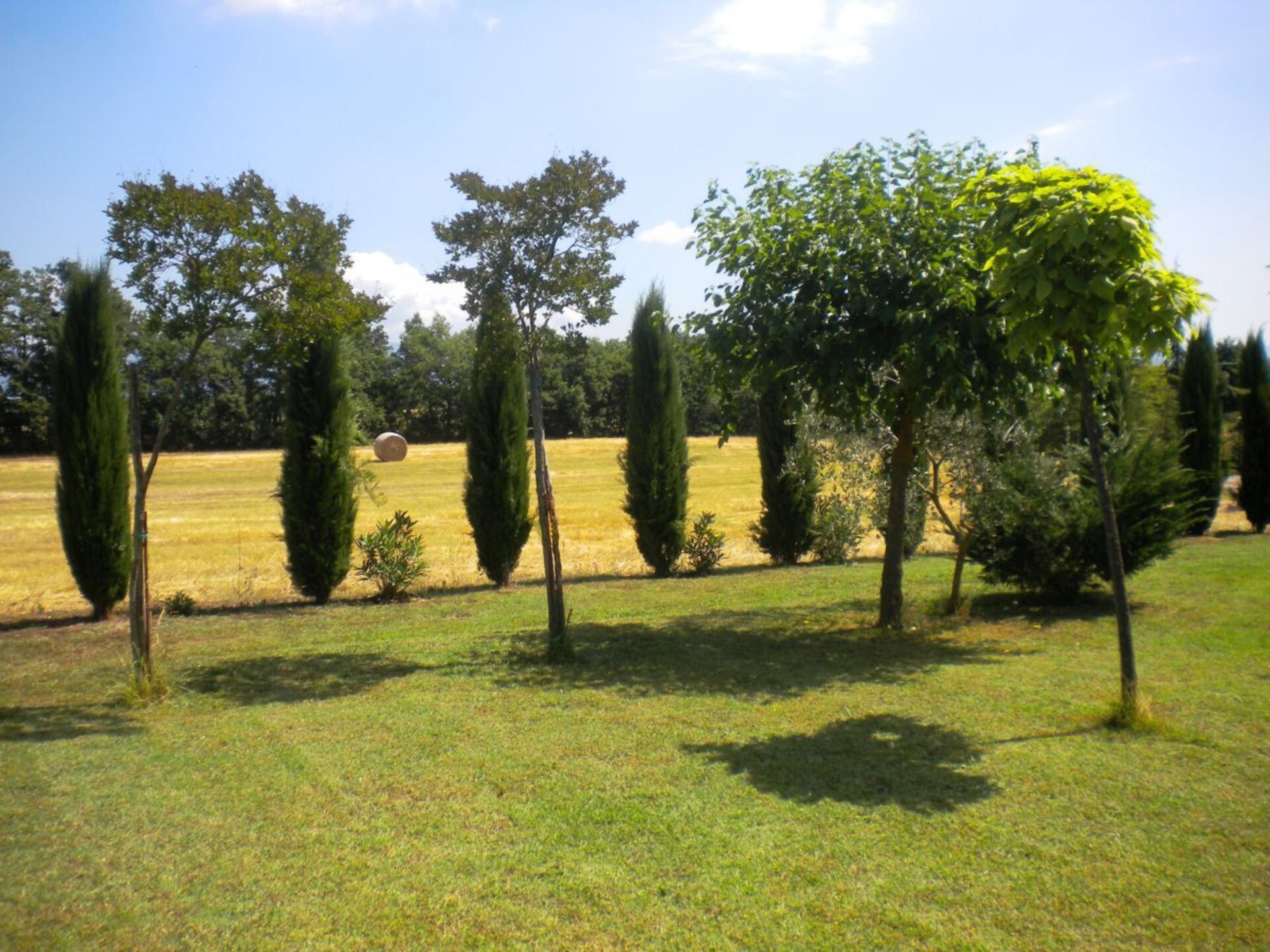 246724 - foto 6
