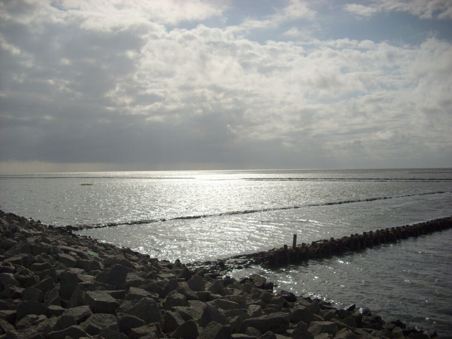 41005 - foto 13
