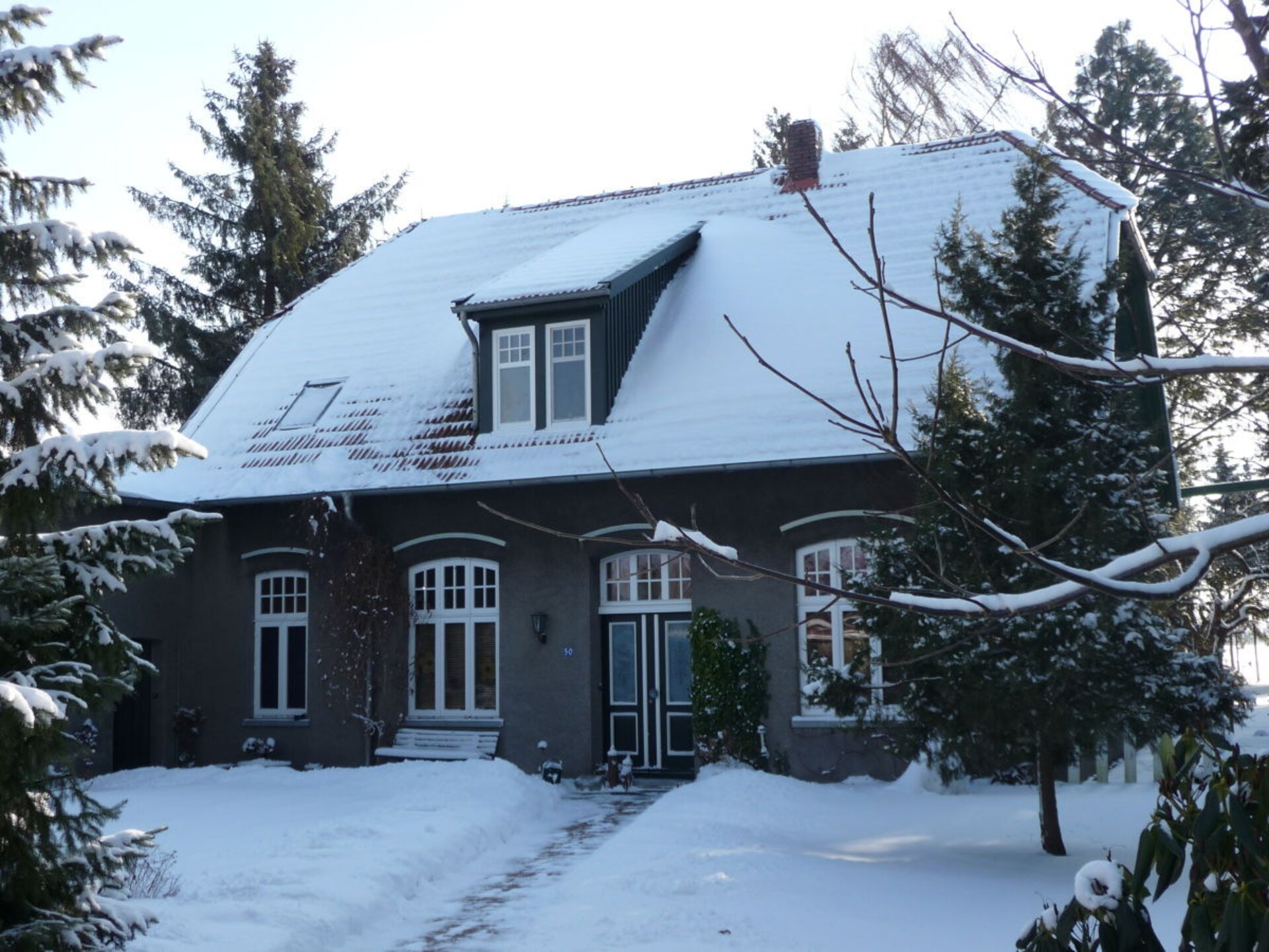 40676 - foto 3