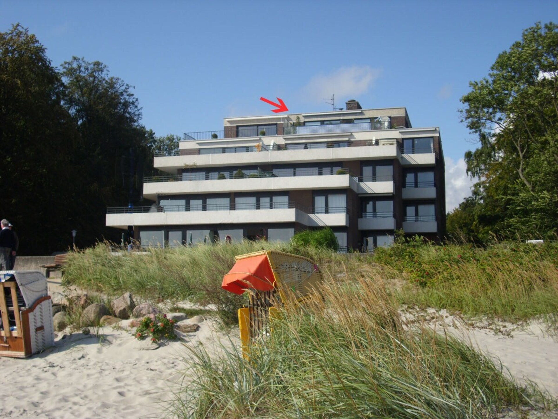 53560 - foto 2