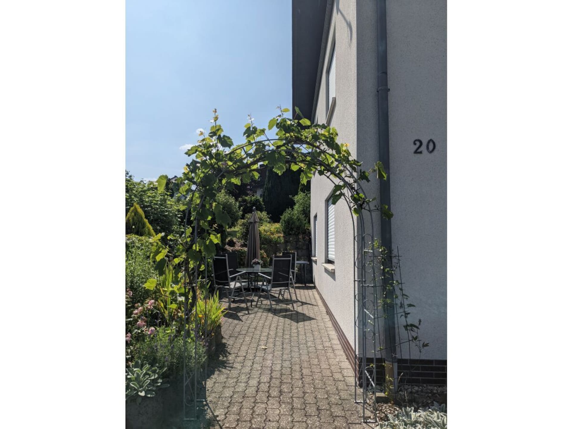 35883 - foto 3