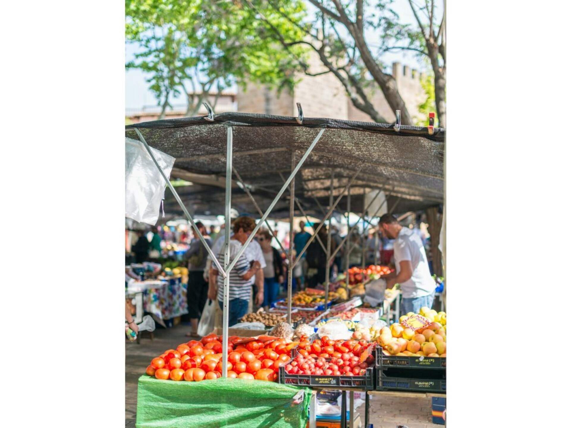 298924 - foto 19