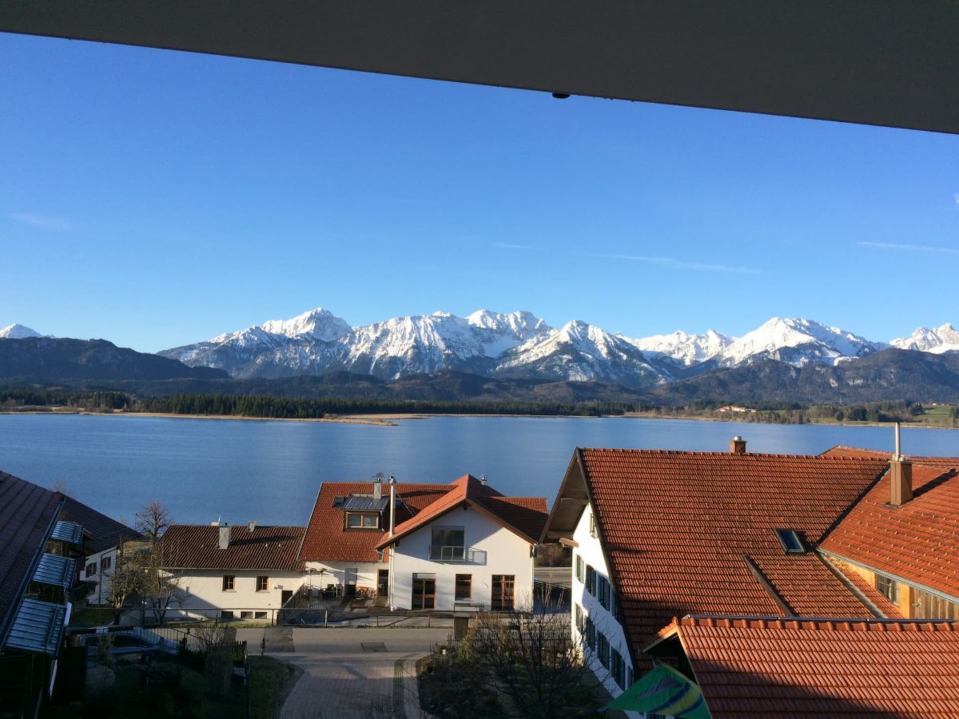 232140 - foto 2
