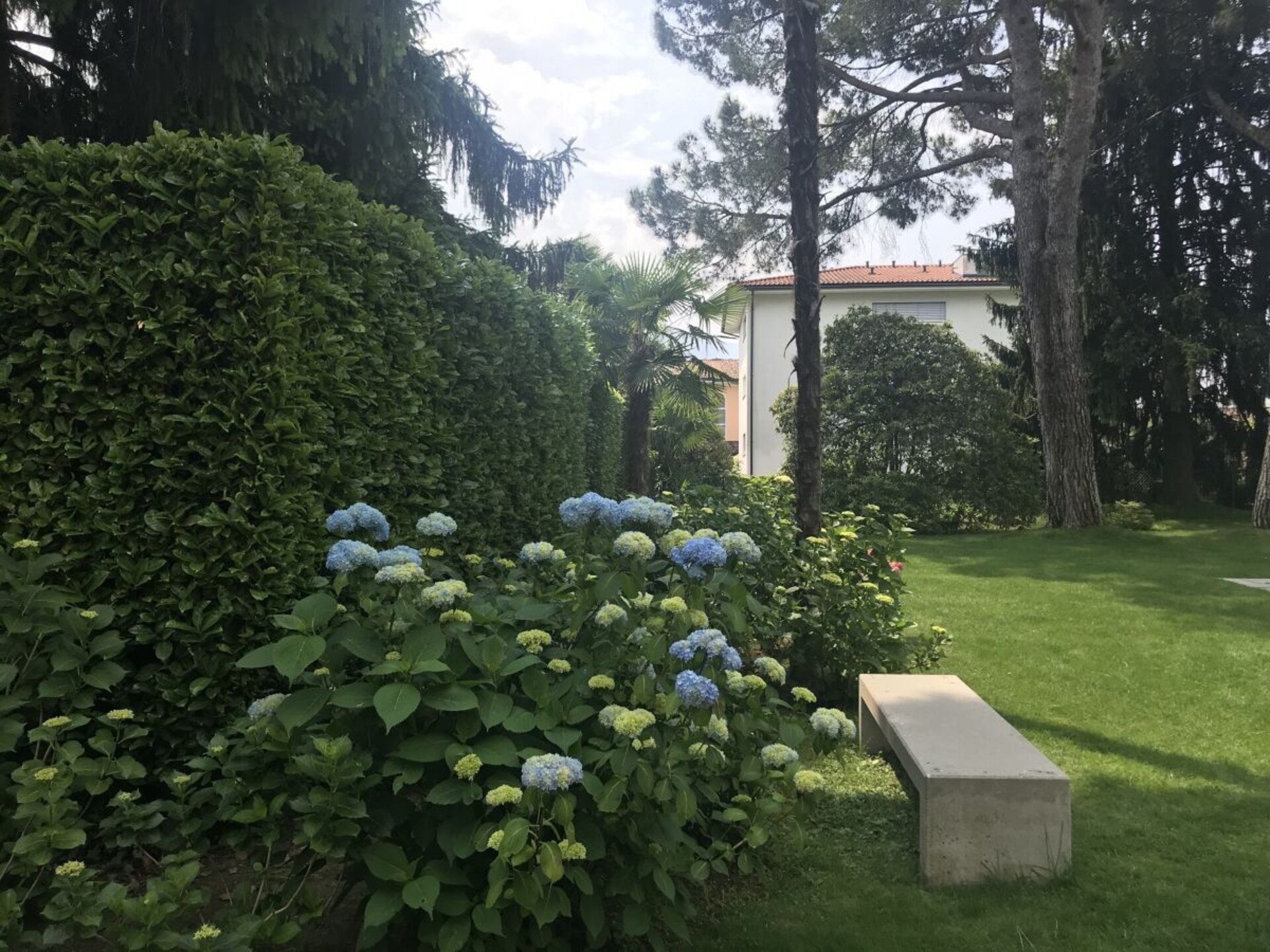 219291 - foto 6