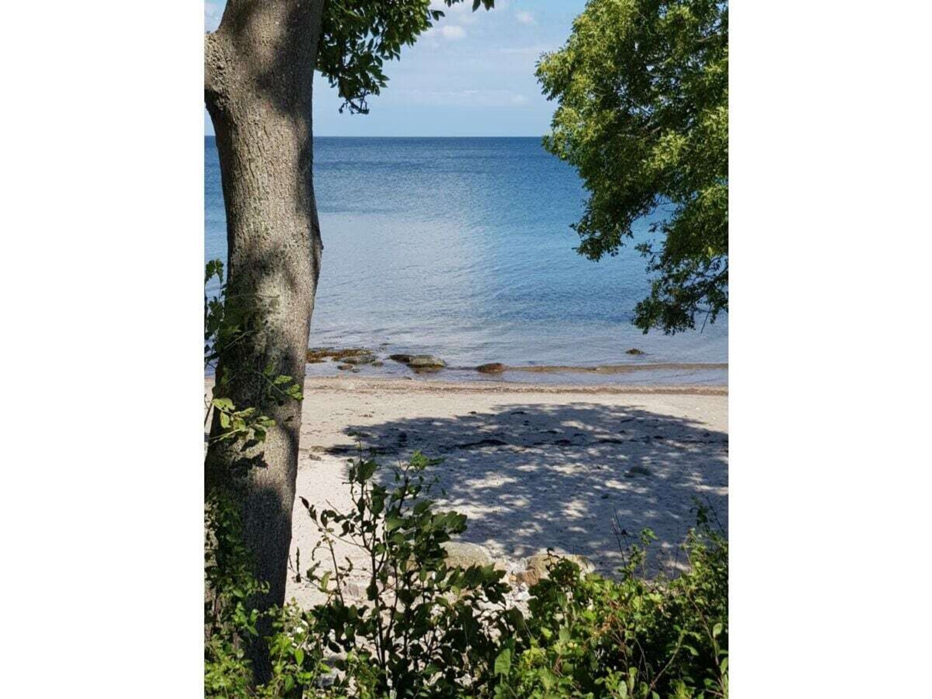 484479 - foto 28
