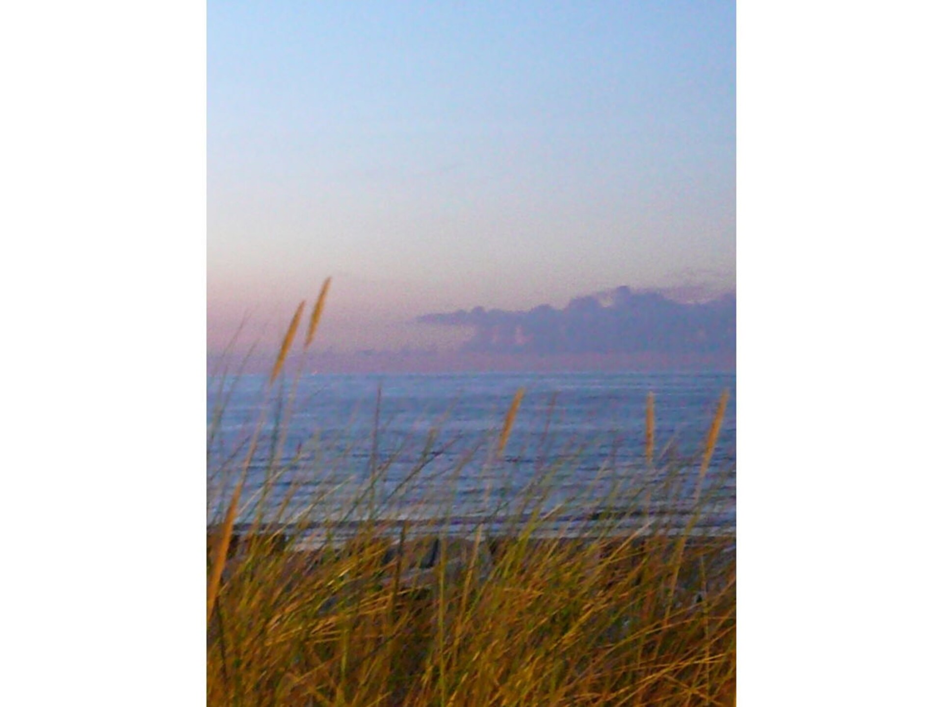 128454 - foto 18