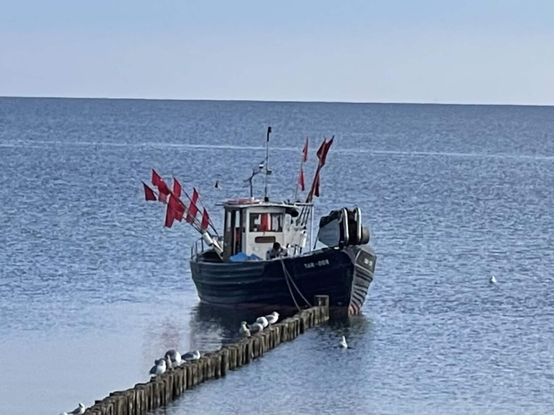 450892 - foto 32