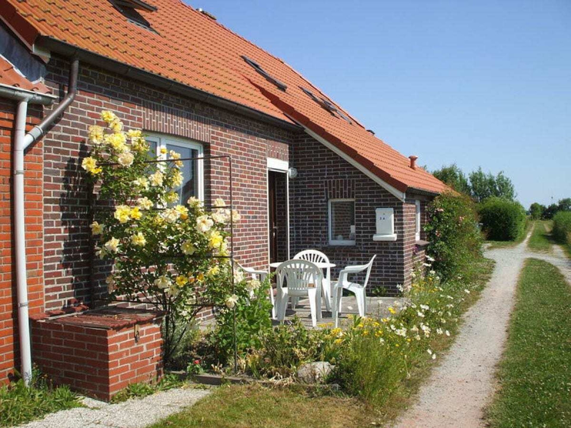 14616 - foto 2