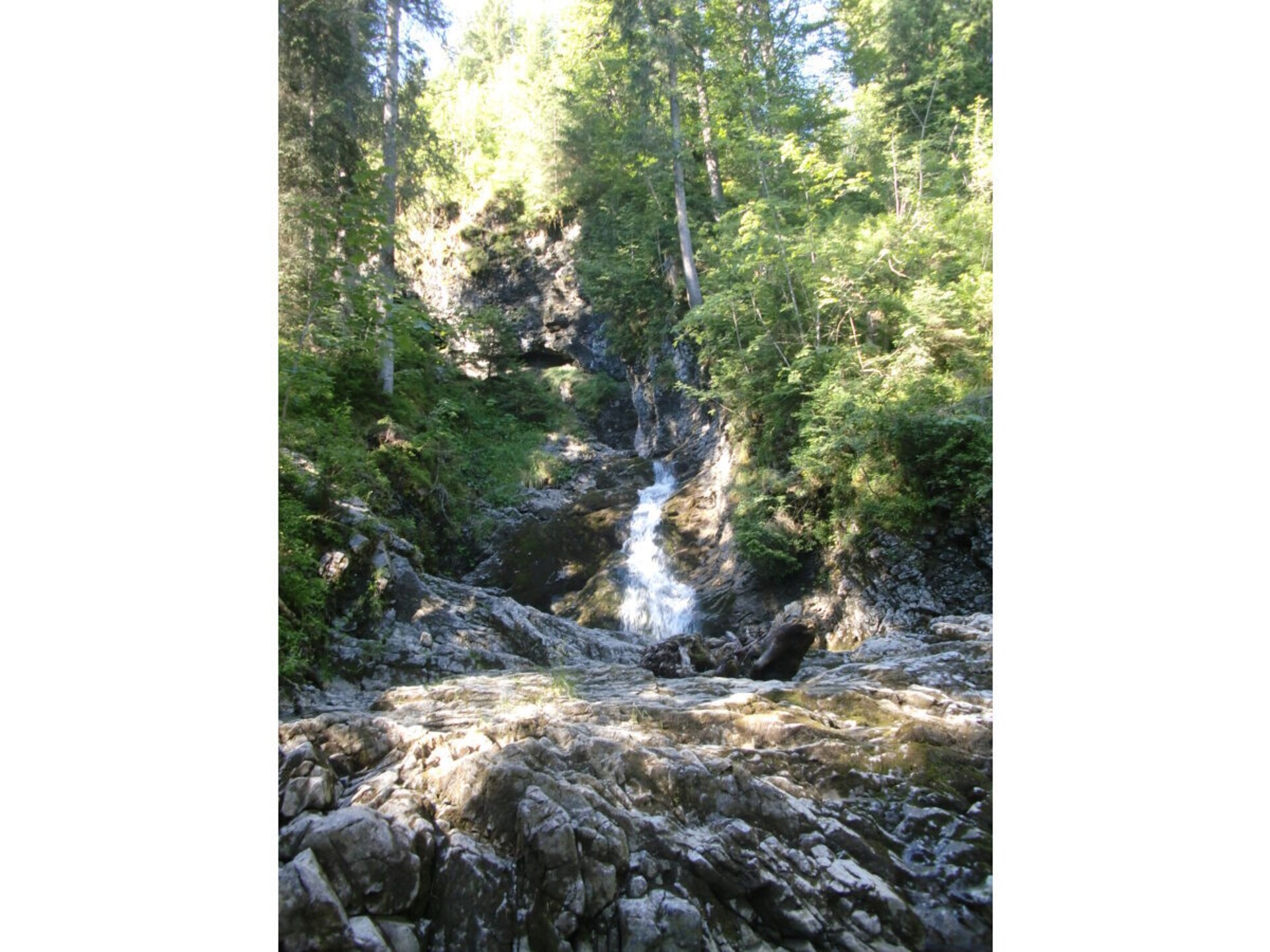 42005 - foto 24