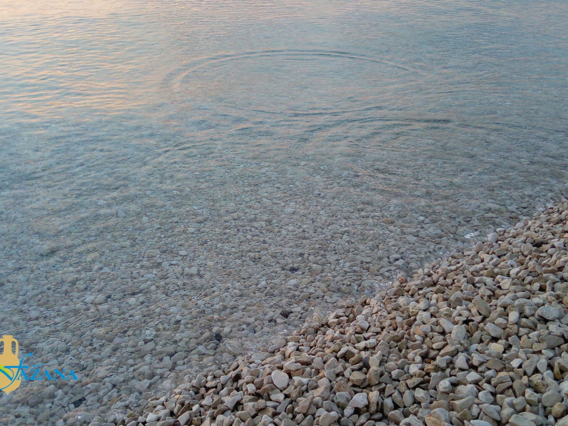 165553 - foto 20
