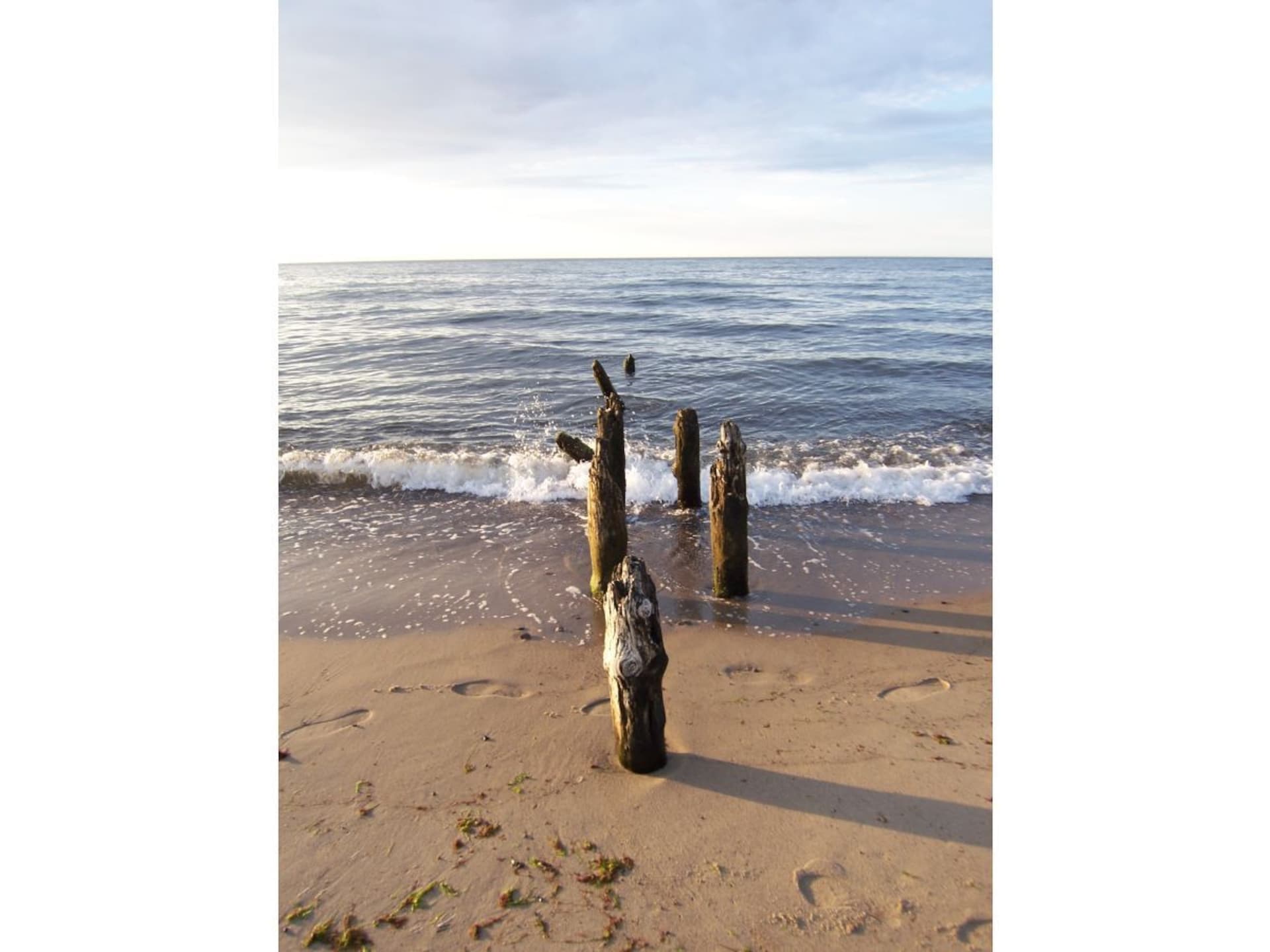 263383 - foto 19