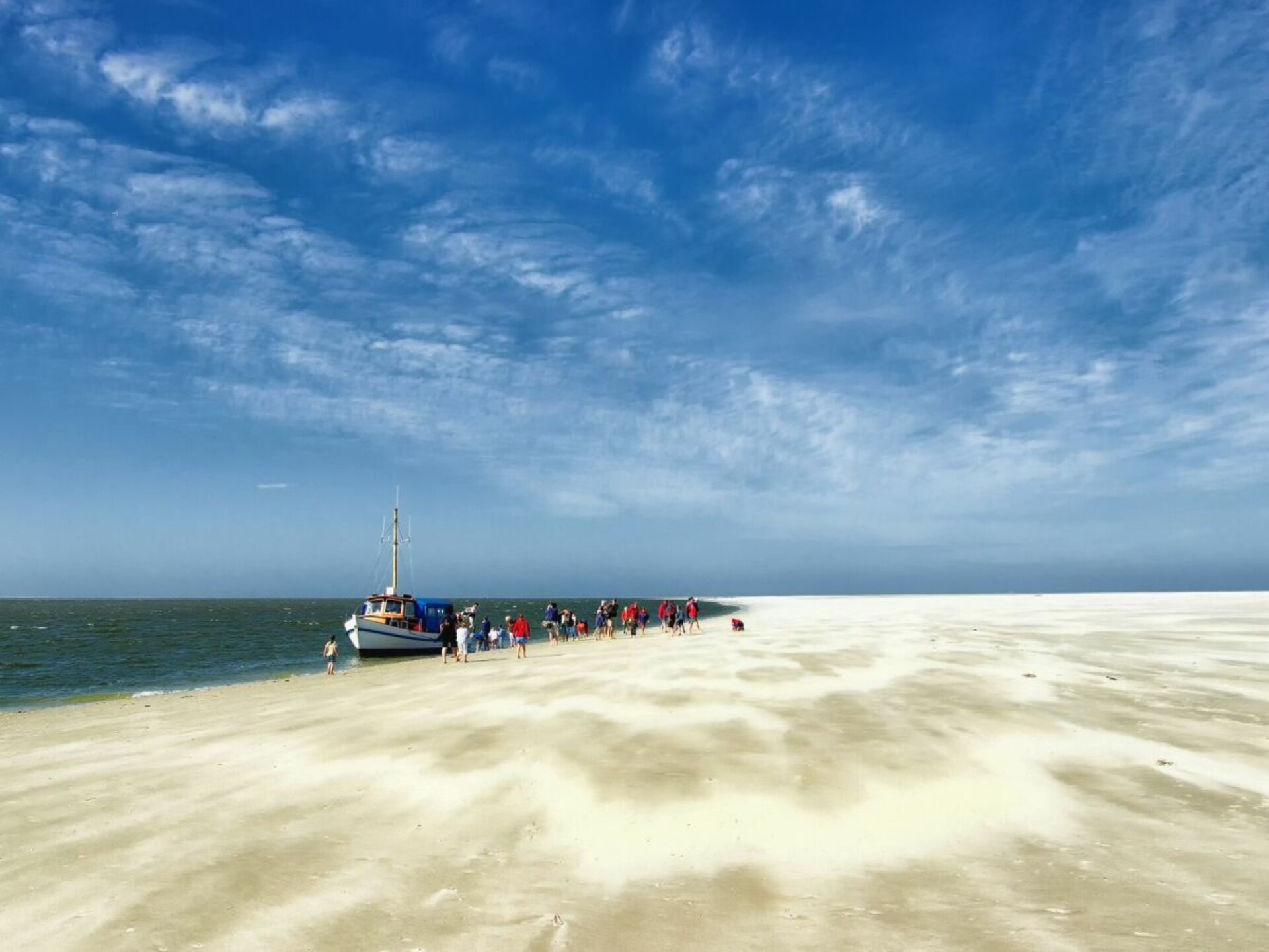 254877 - foto 16