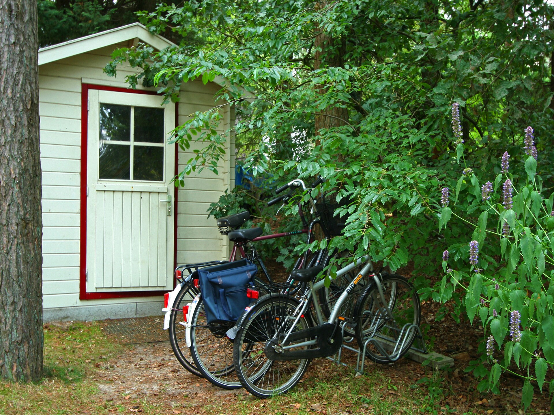 Kleine Vos – Gezellig vakantiehuis aan de Veluwse bossen voor 6 personen - foto 23