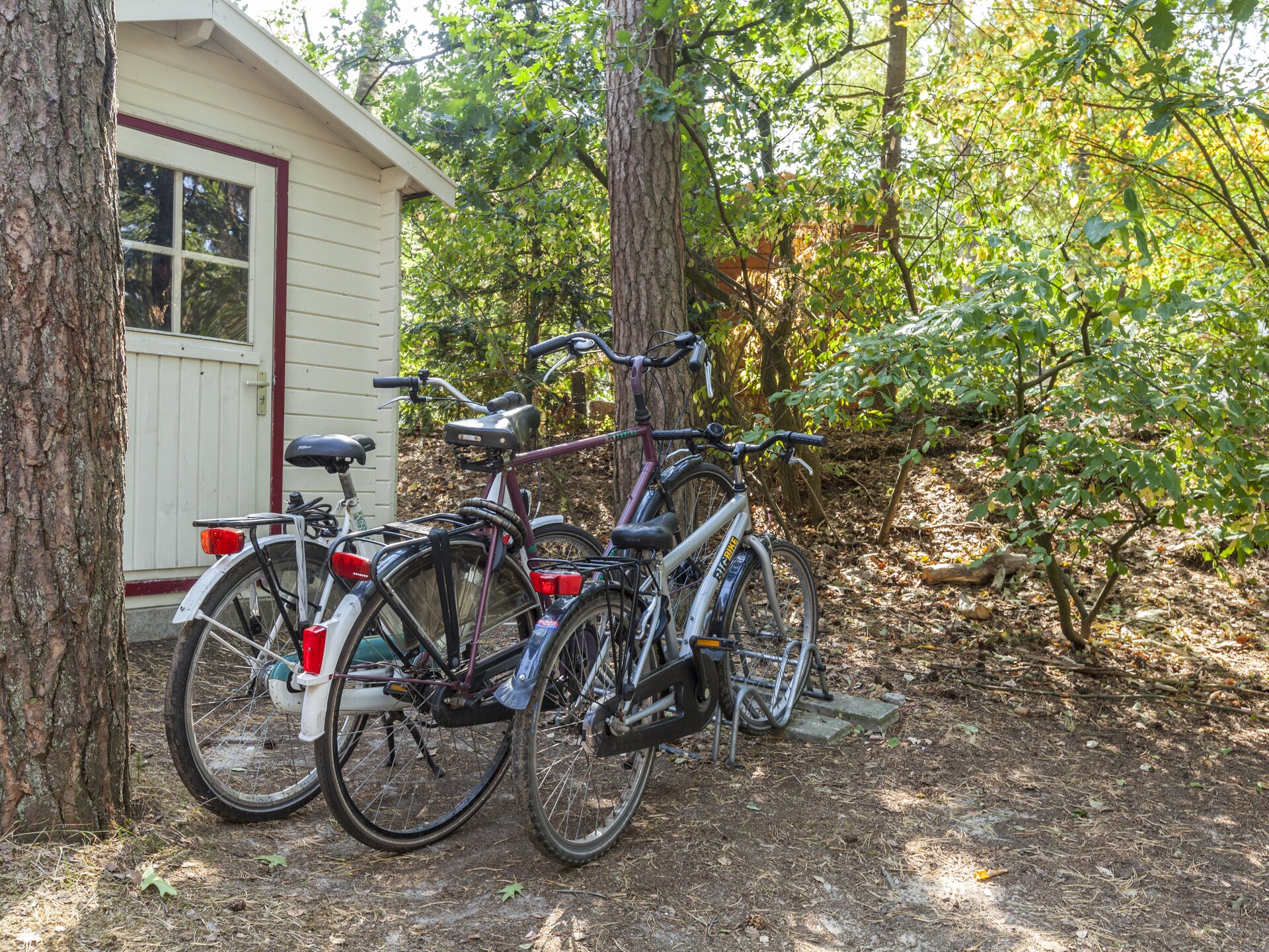 Kleine Vos – Gezellig vakantiehuis aan de Veluwse bossen voor 6 personen - foto 28