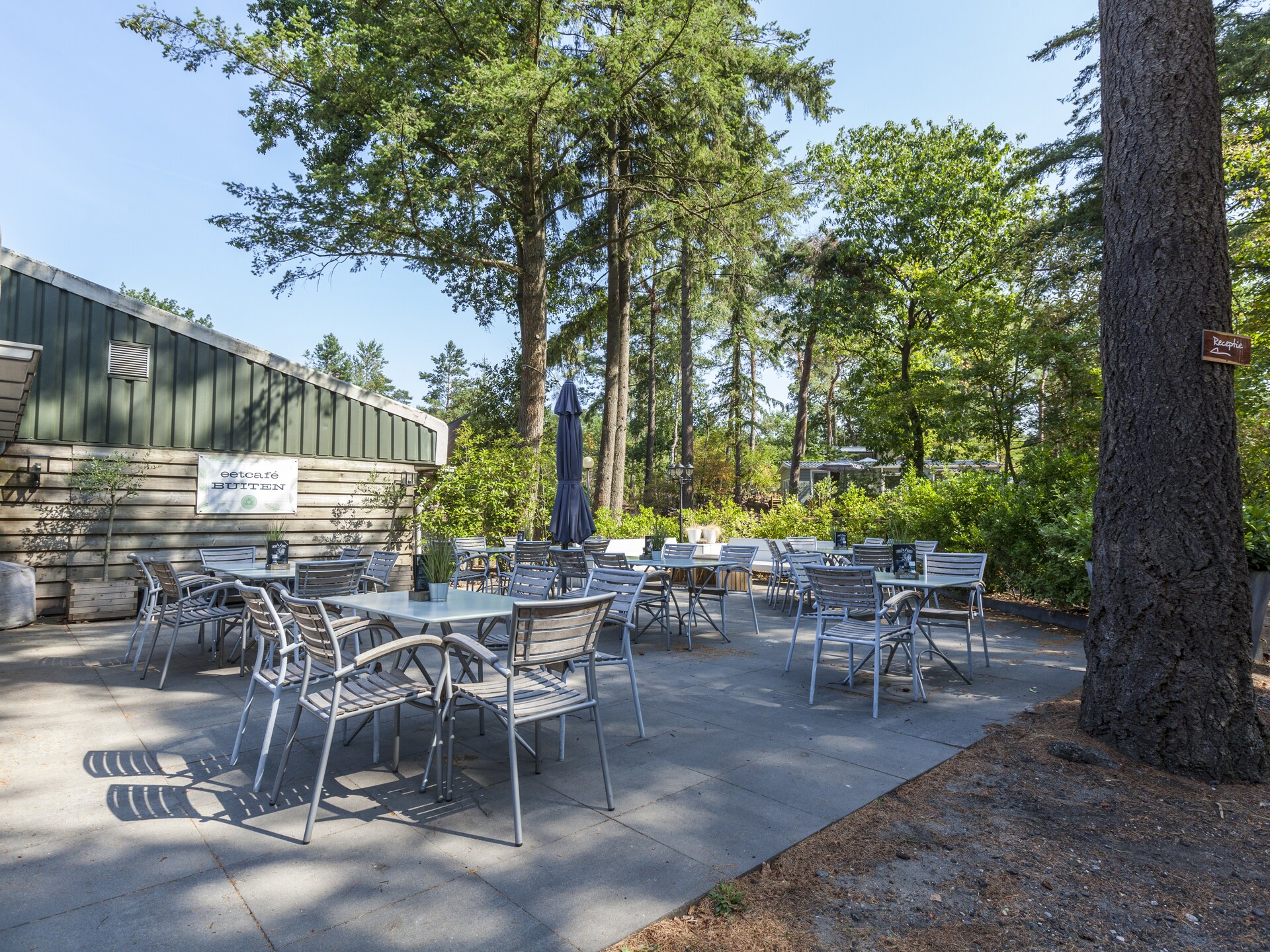 Kleine Vos – Gezellig vakantiehuis aan de Veluwse bossen voor 6 personen - foto 29