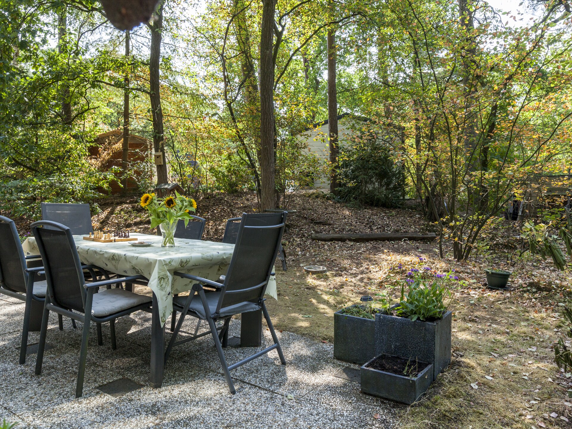 Kleine Vos – Gezellig vakantiehuis aan de Veluwse bossen voor 6 personen - foto 22
