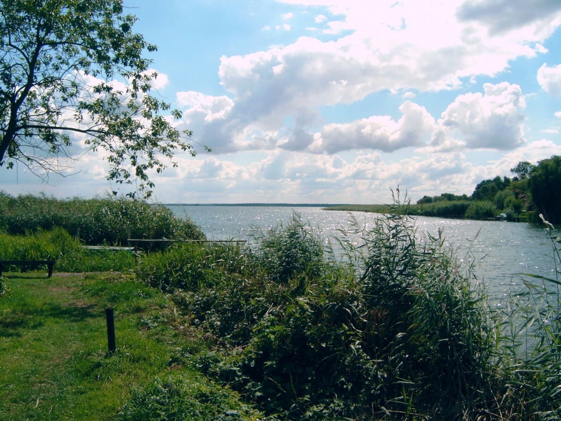 140466 - foto 18